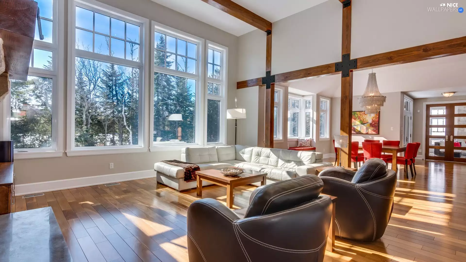 Windows, dining room, Room, seats, Spacious