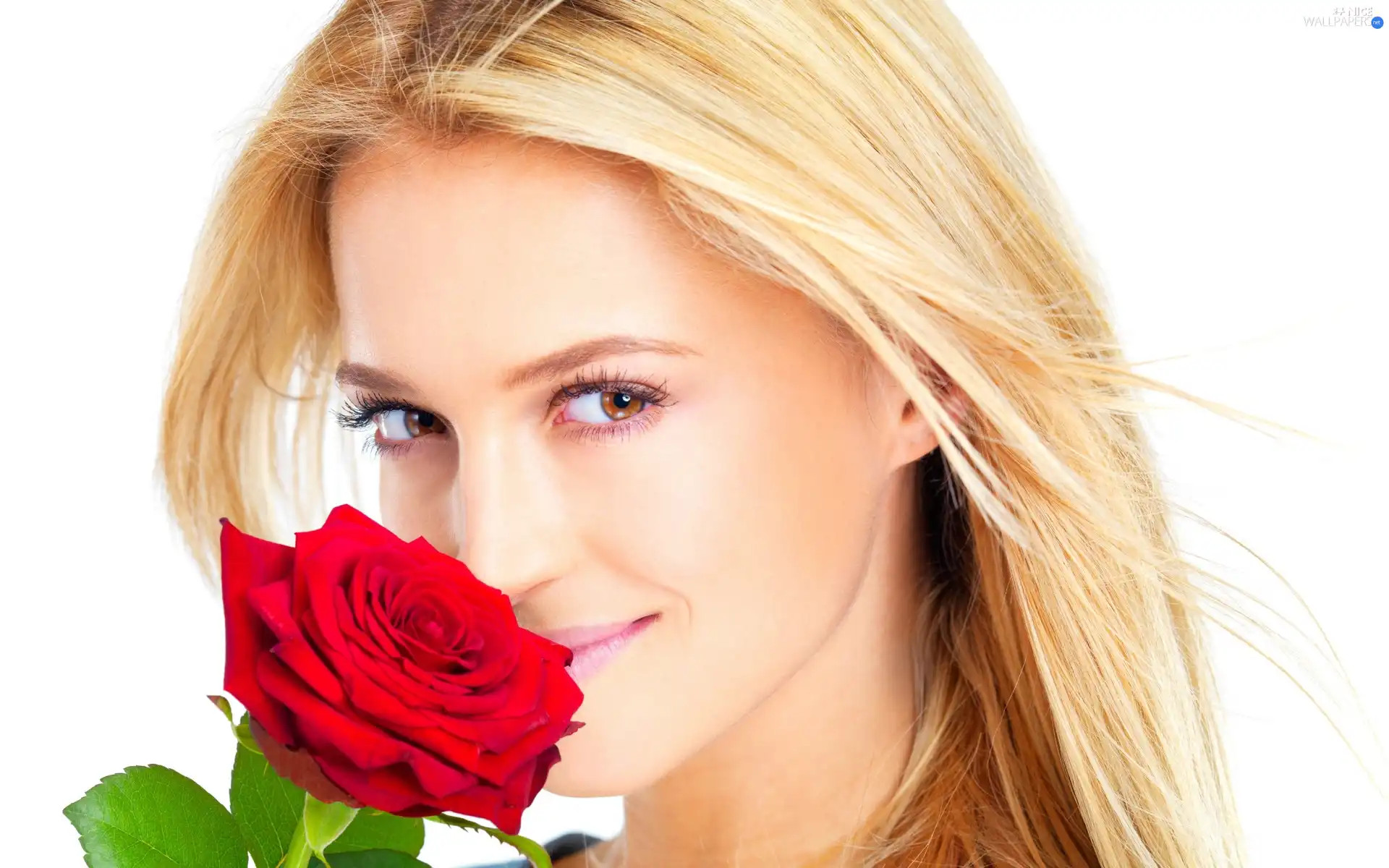 rose, Beauty, Blonde