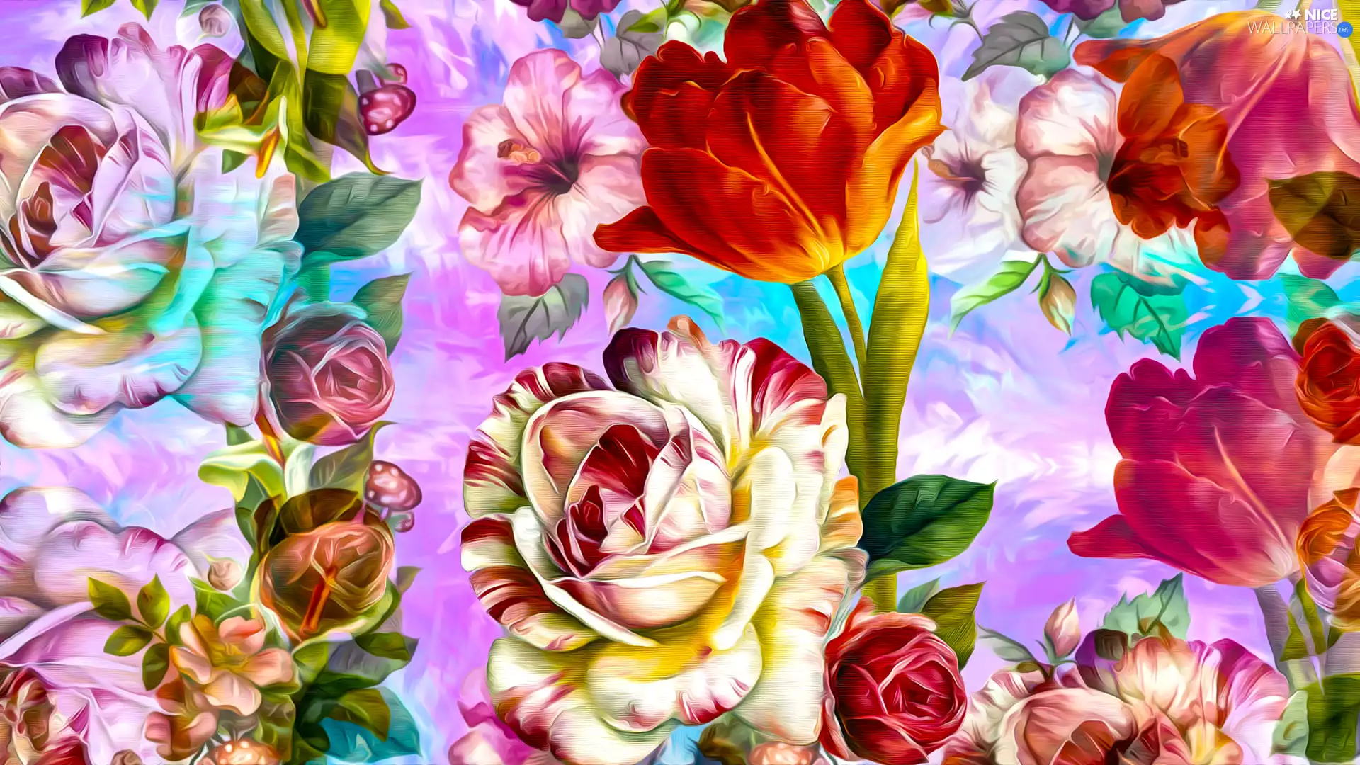 Flowers, tulip, graphics, rose