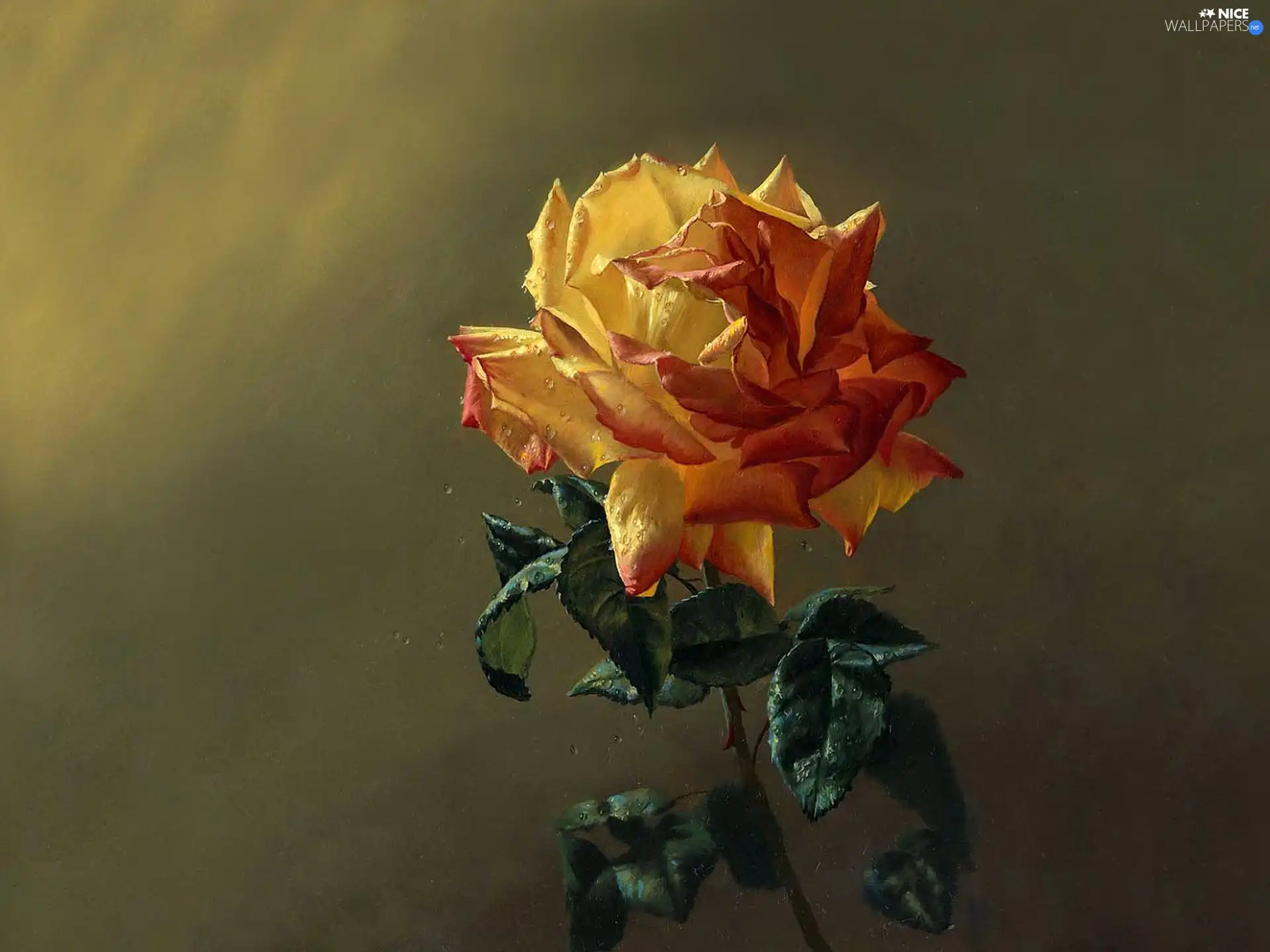 rose, picture, painting