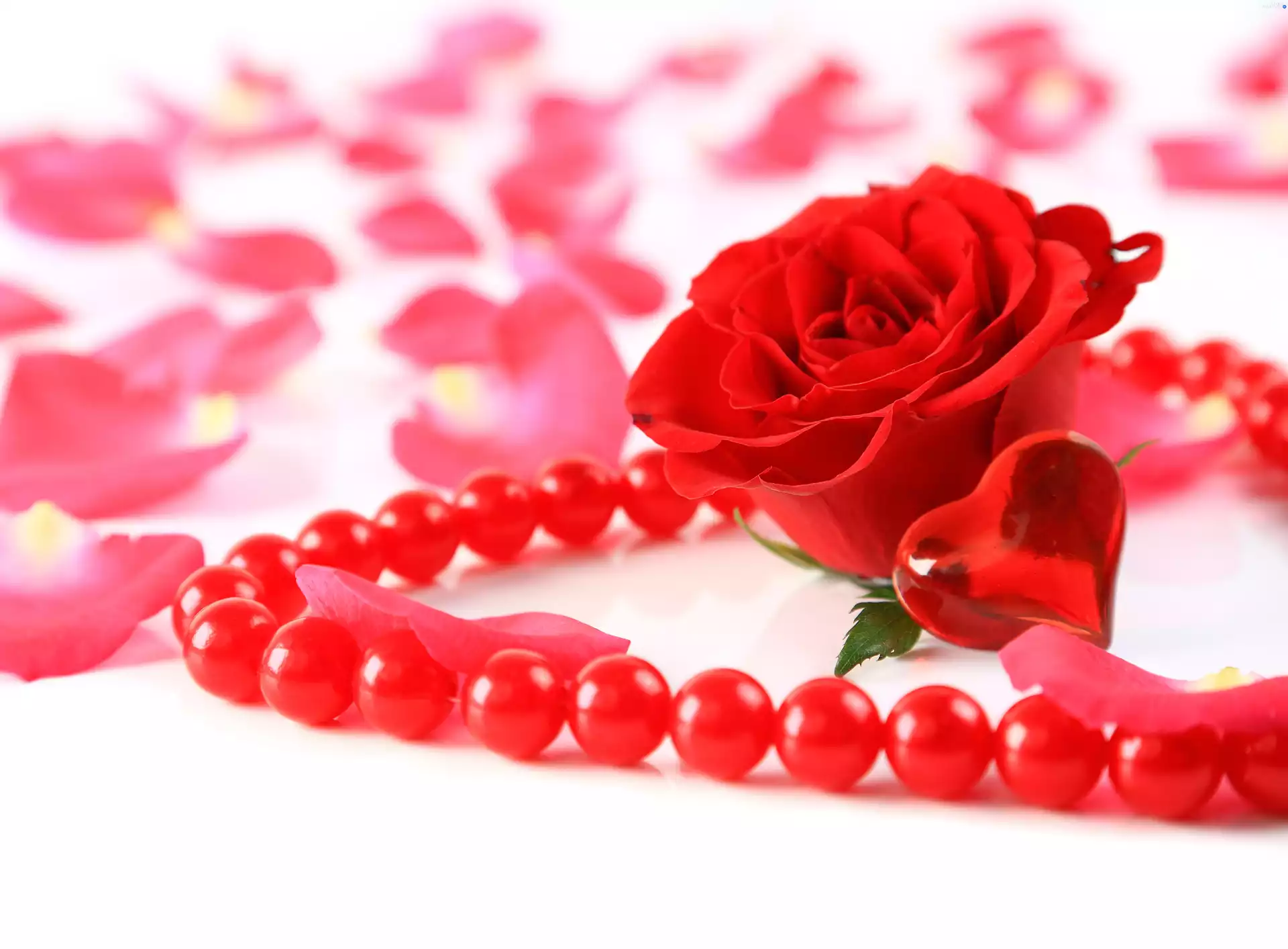 Red Pearls, Red rose, Rose Petals, Heart