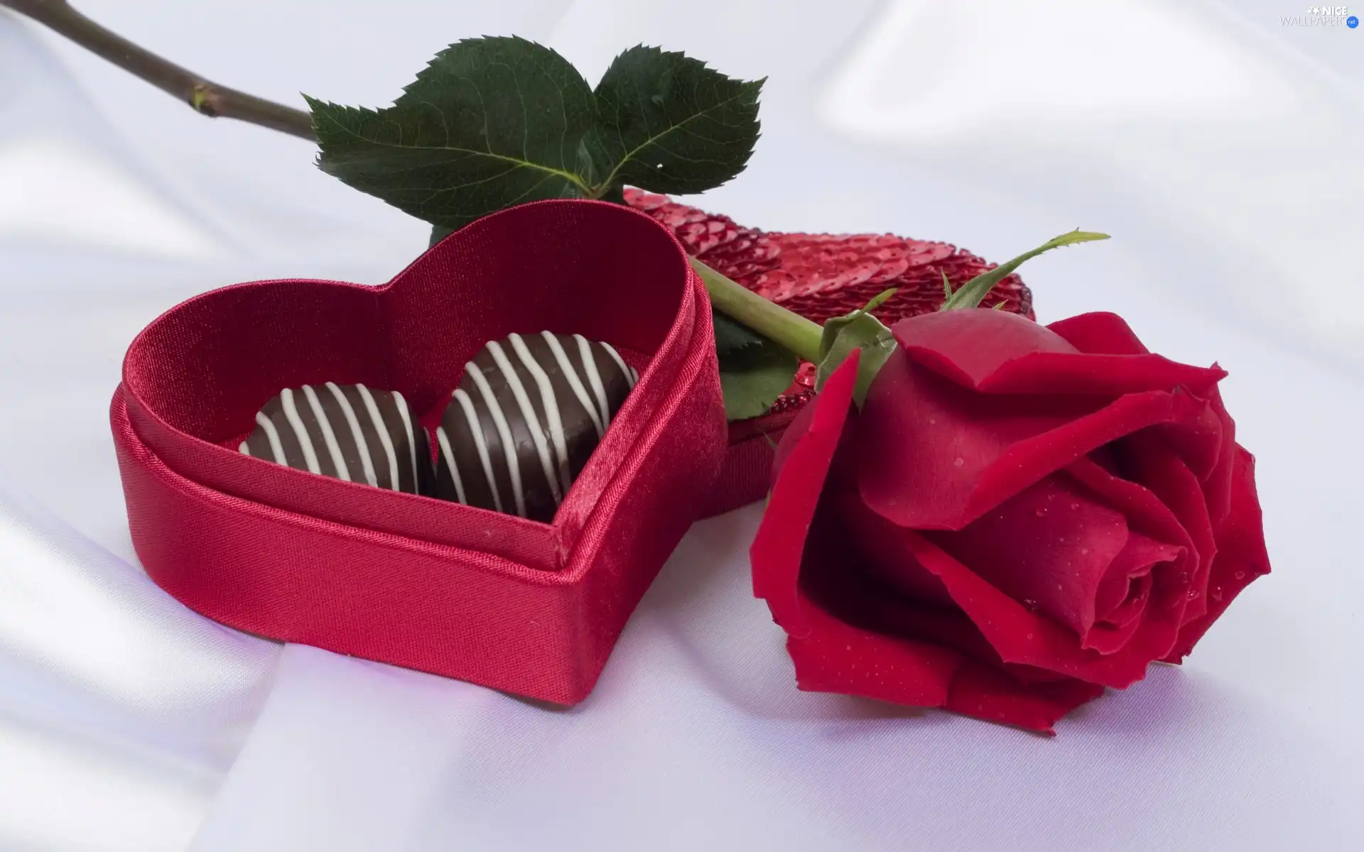 rose, Candies, Valentine
