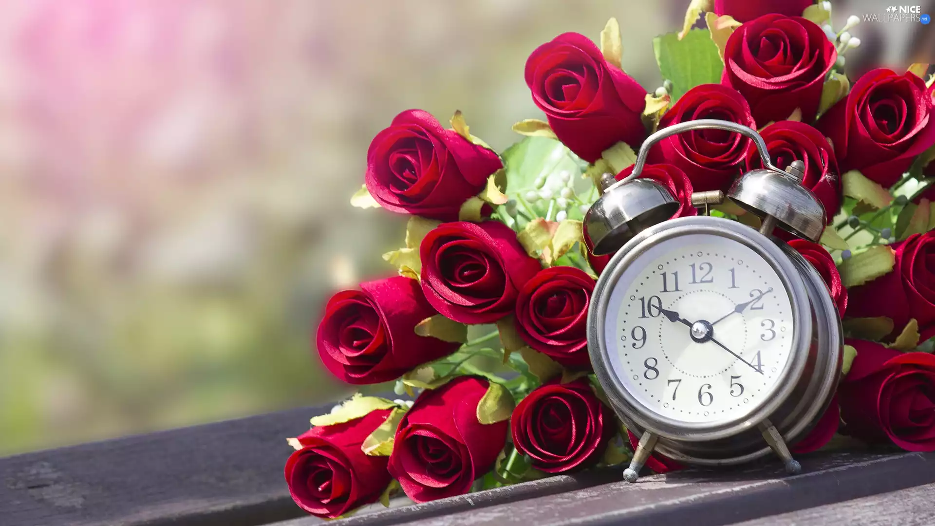 boarding, blurry background, roses, alarm clock, Red