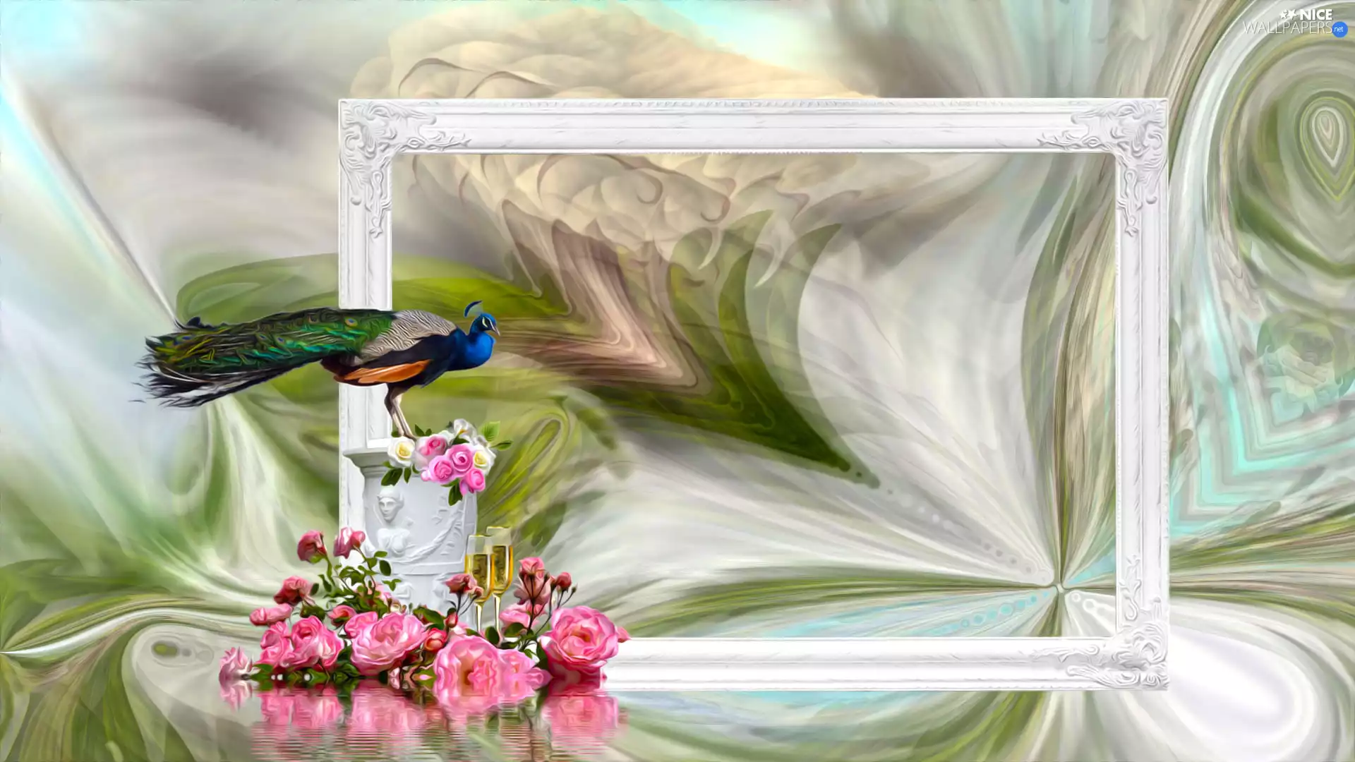 peacock, graphics, Flowers, roses, frame, Bird