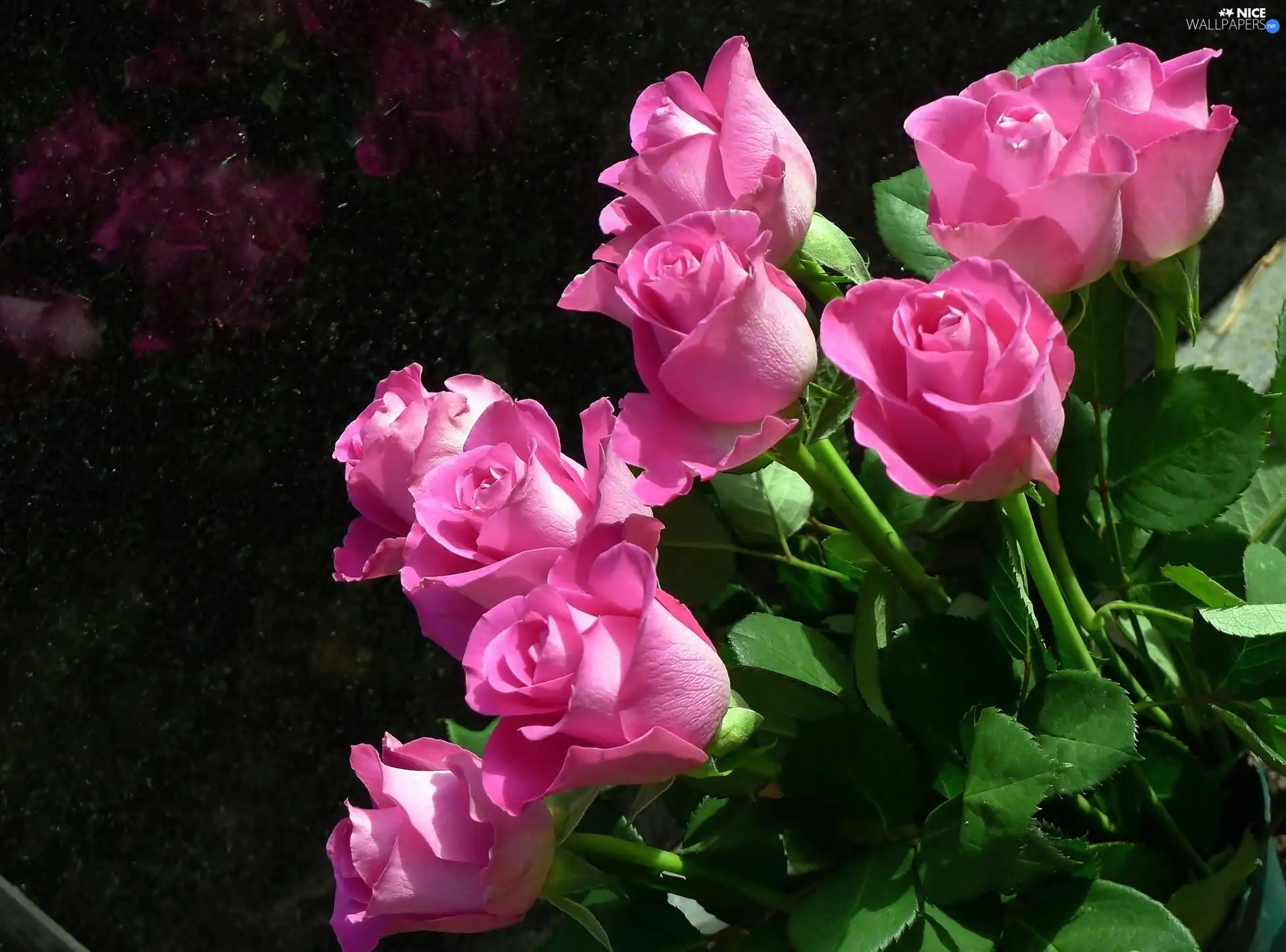 Flowers, Pink, roses, bouquet