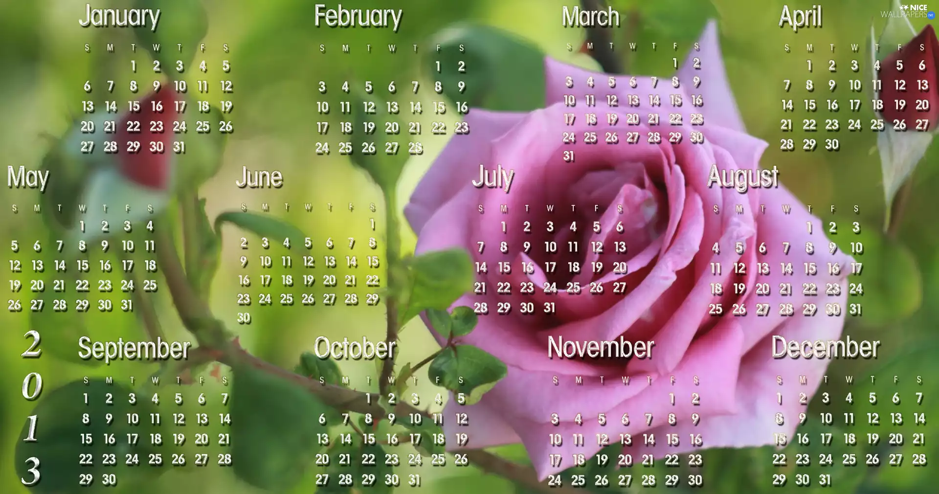 graphics, Calendar, 2013, roses