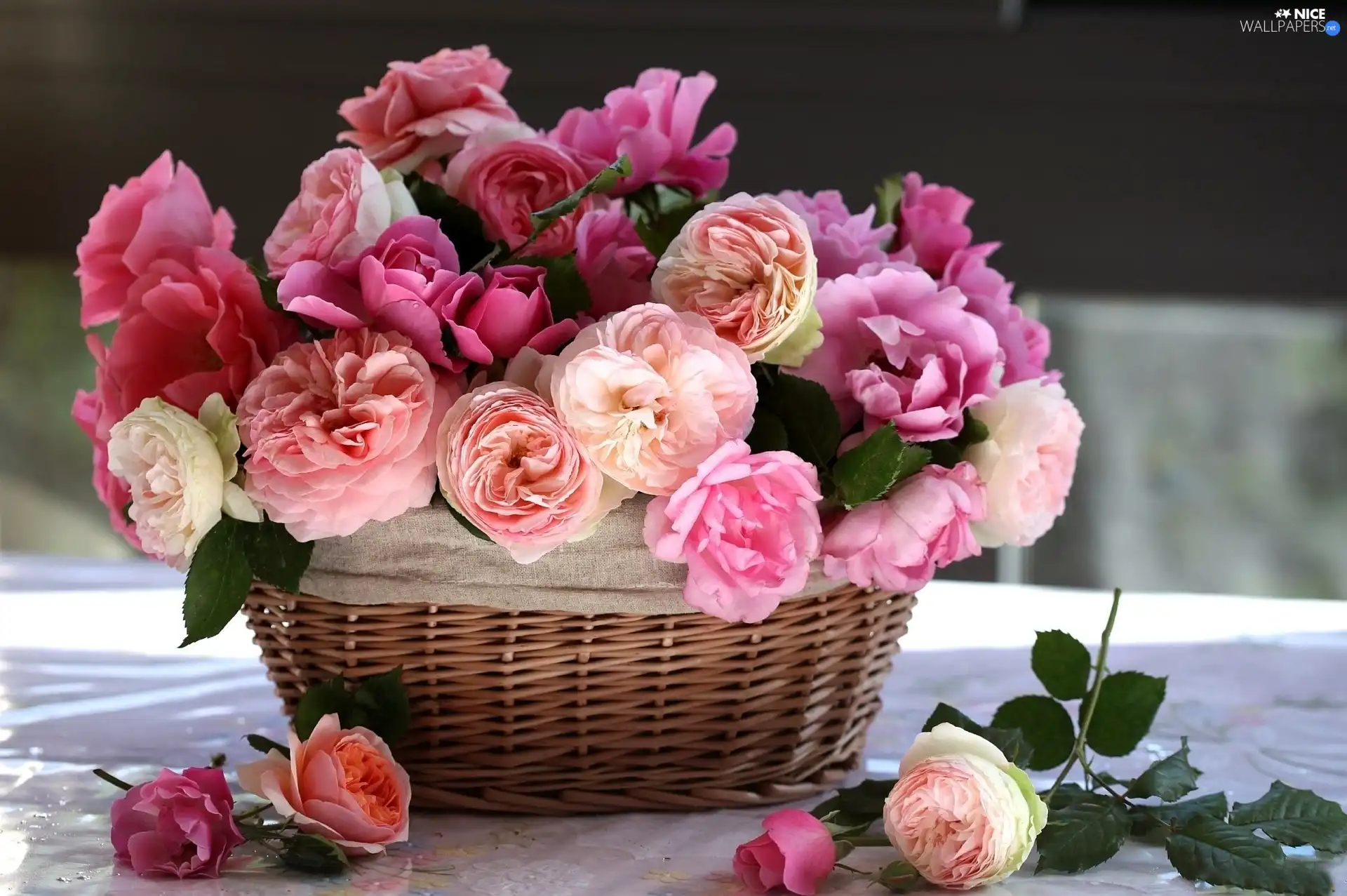 roses, basket, Pink