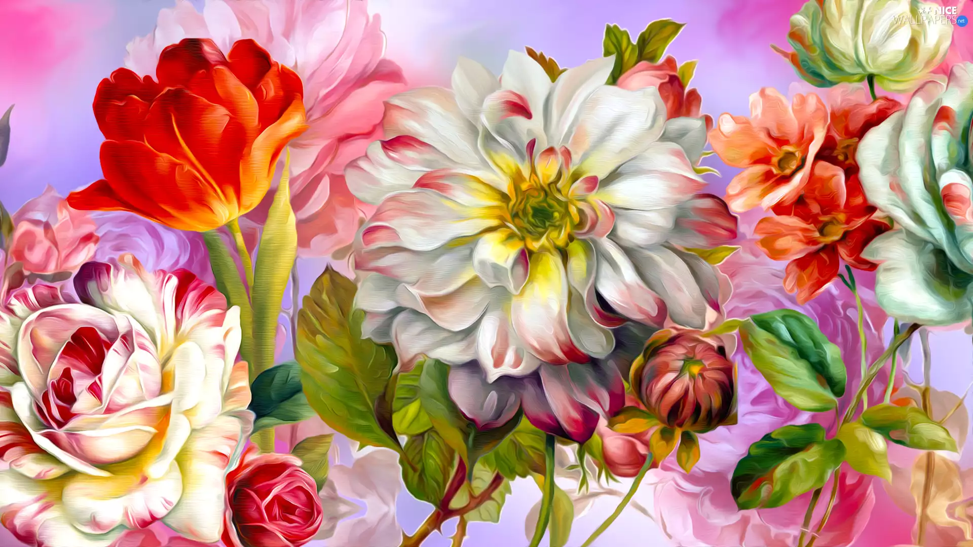 tulip, Flowers, graphics, roses