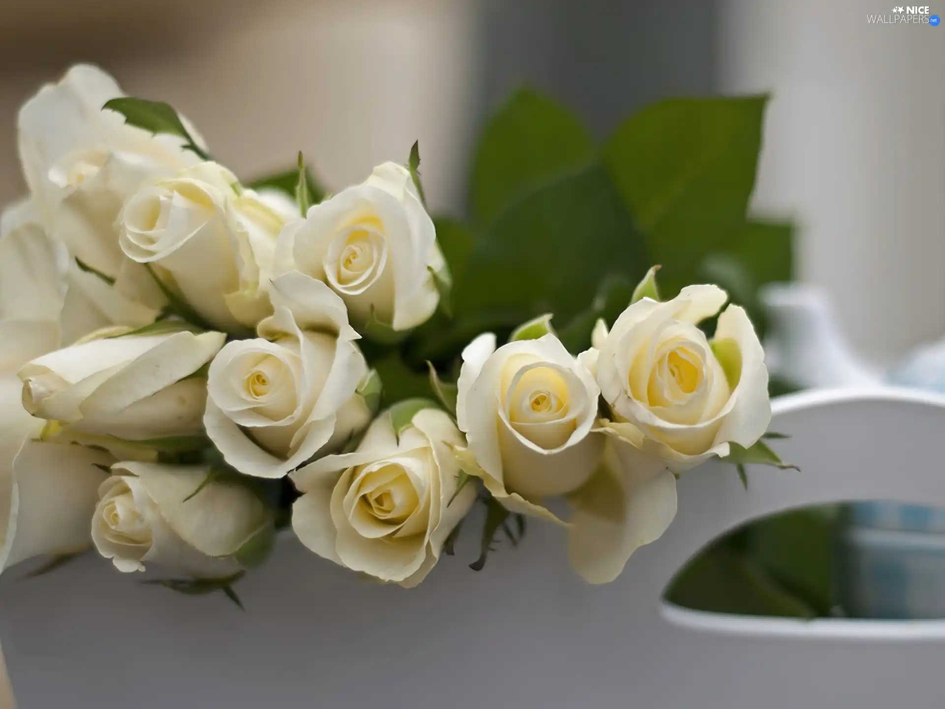 White Bed, White, roses