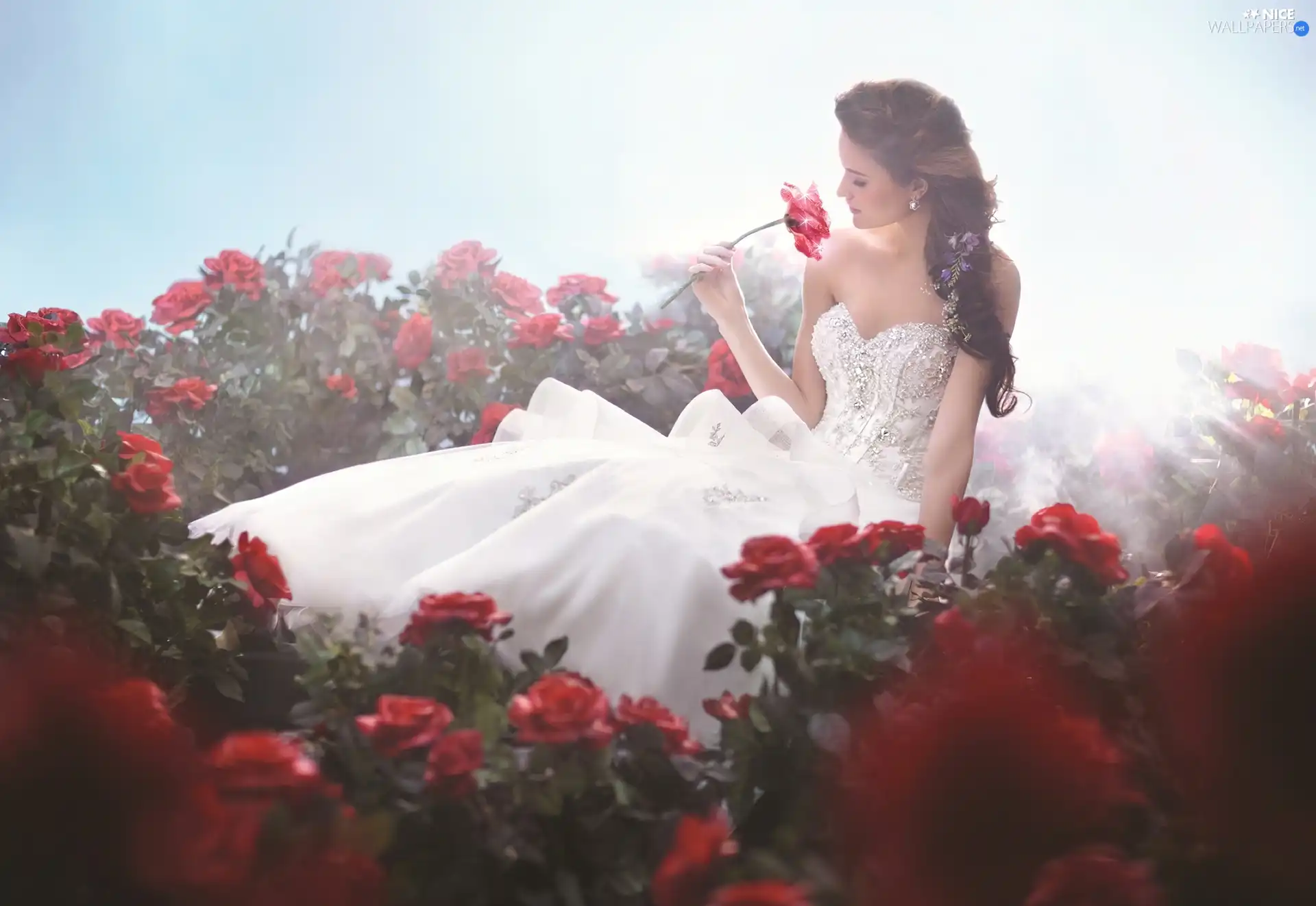 Women, Dress, roses, White