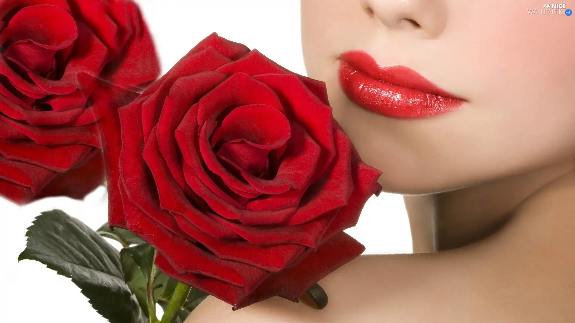Women, Red, roses, lips