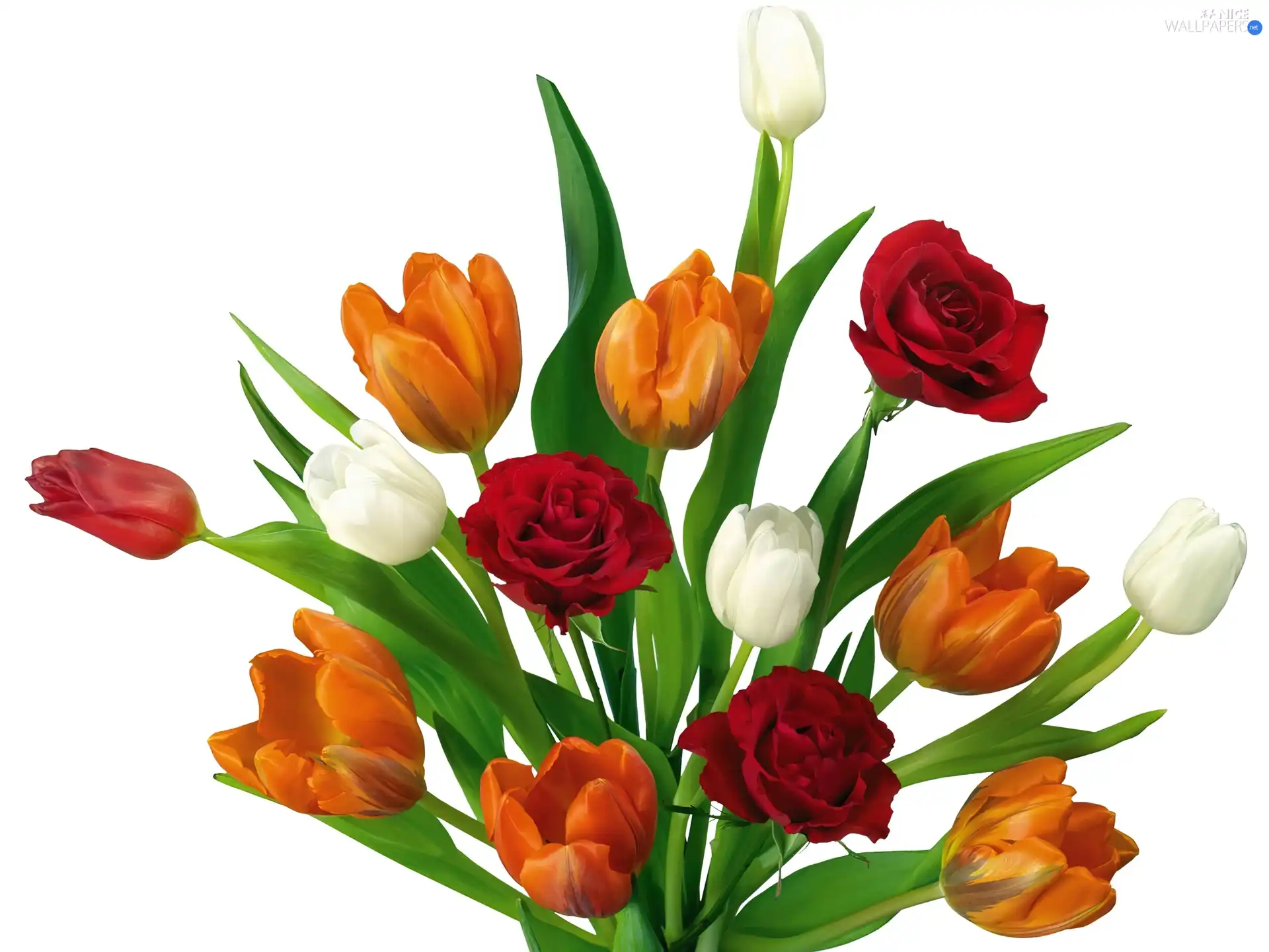 bouquet, tulips, rouge, Colorful