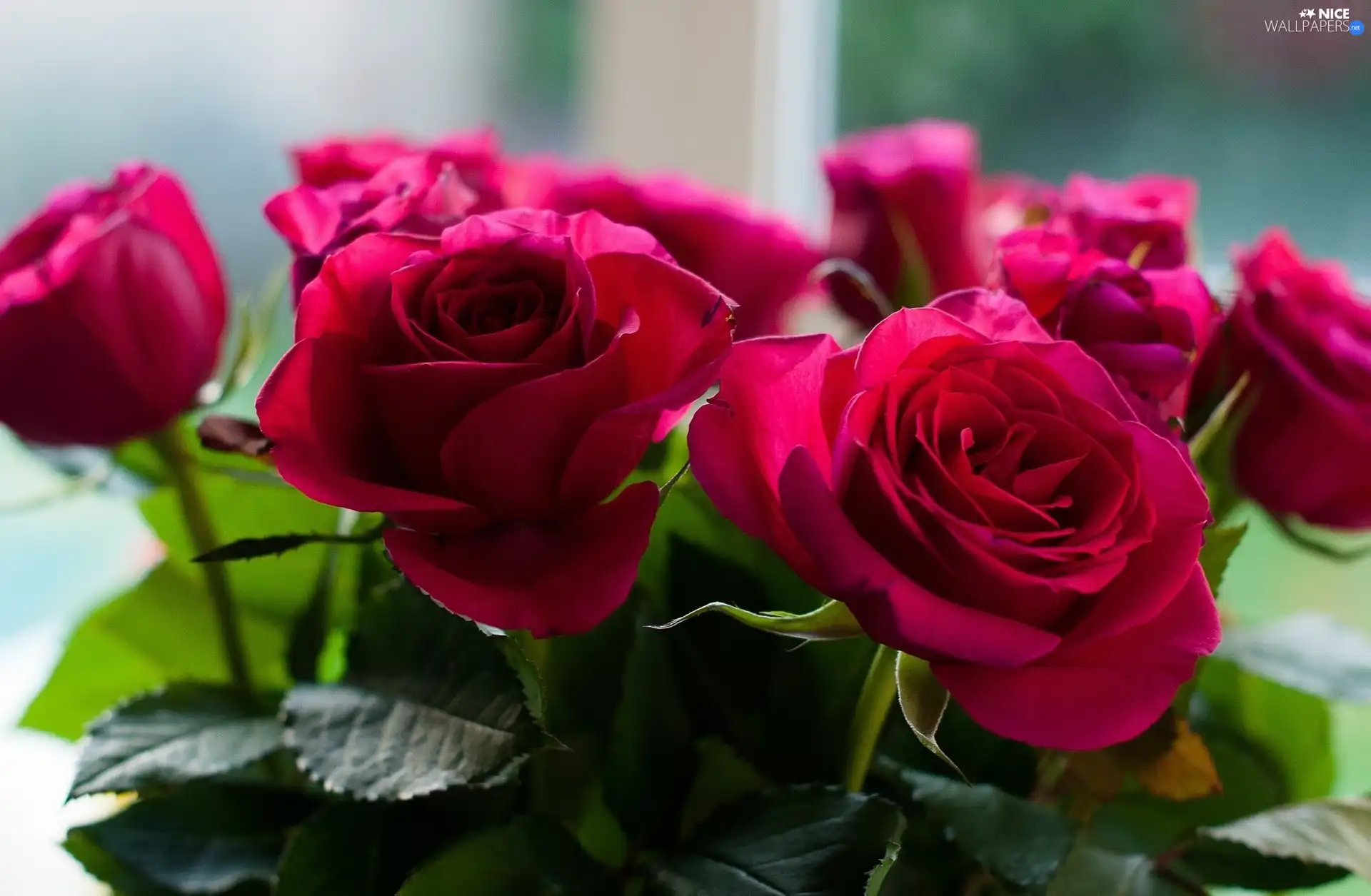 rouge, bouquet, red
