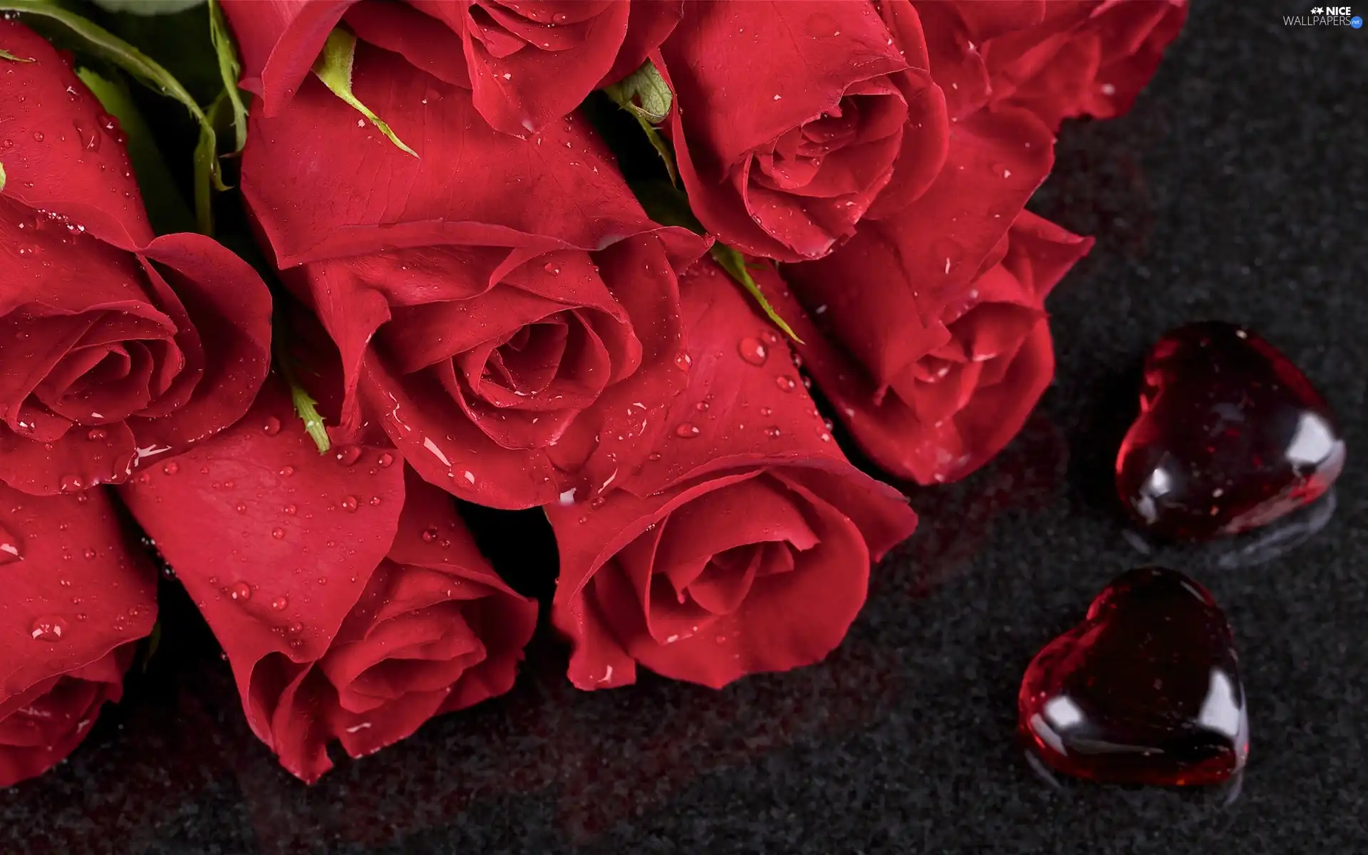 hearts, rouge, dew, bouquet, Valentine