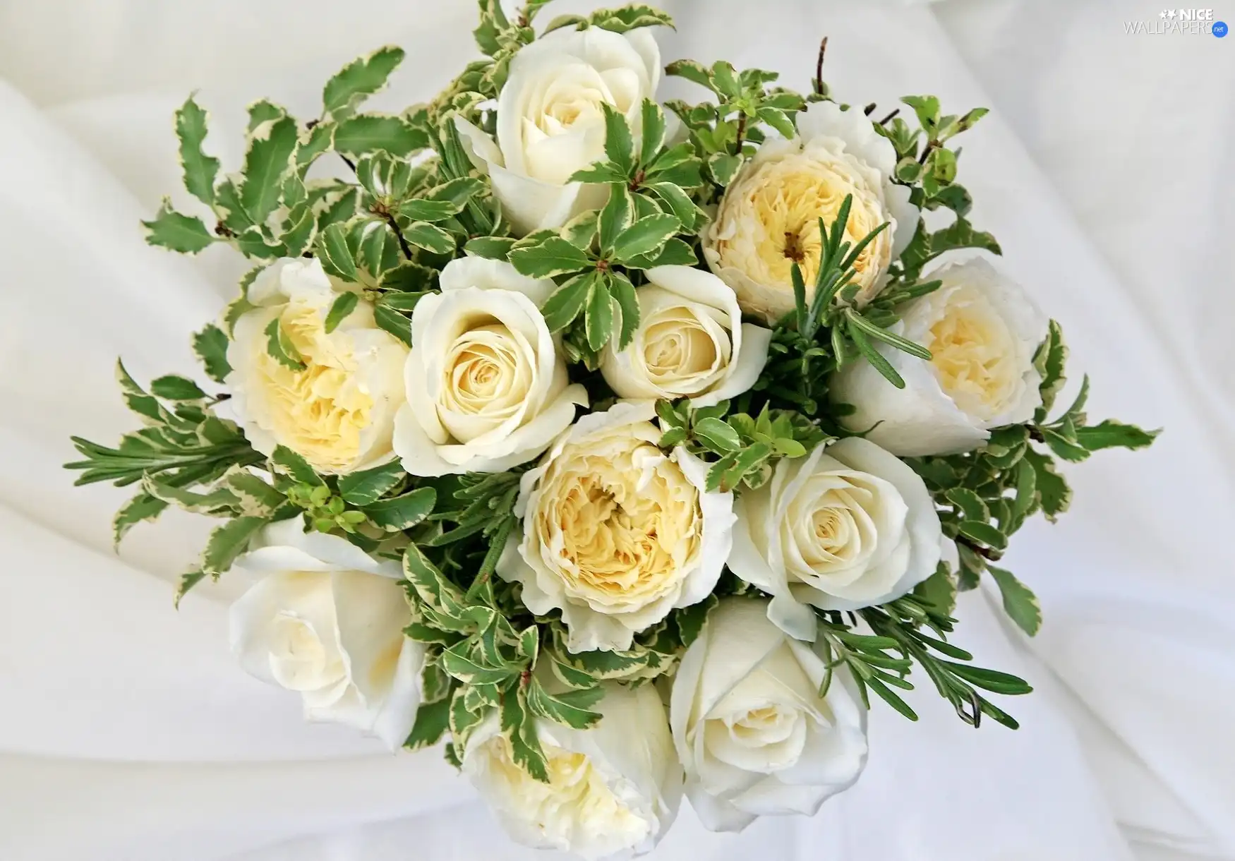 rouge, bouquet, white