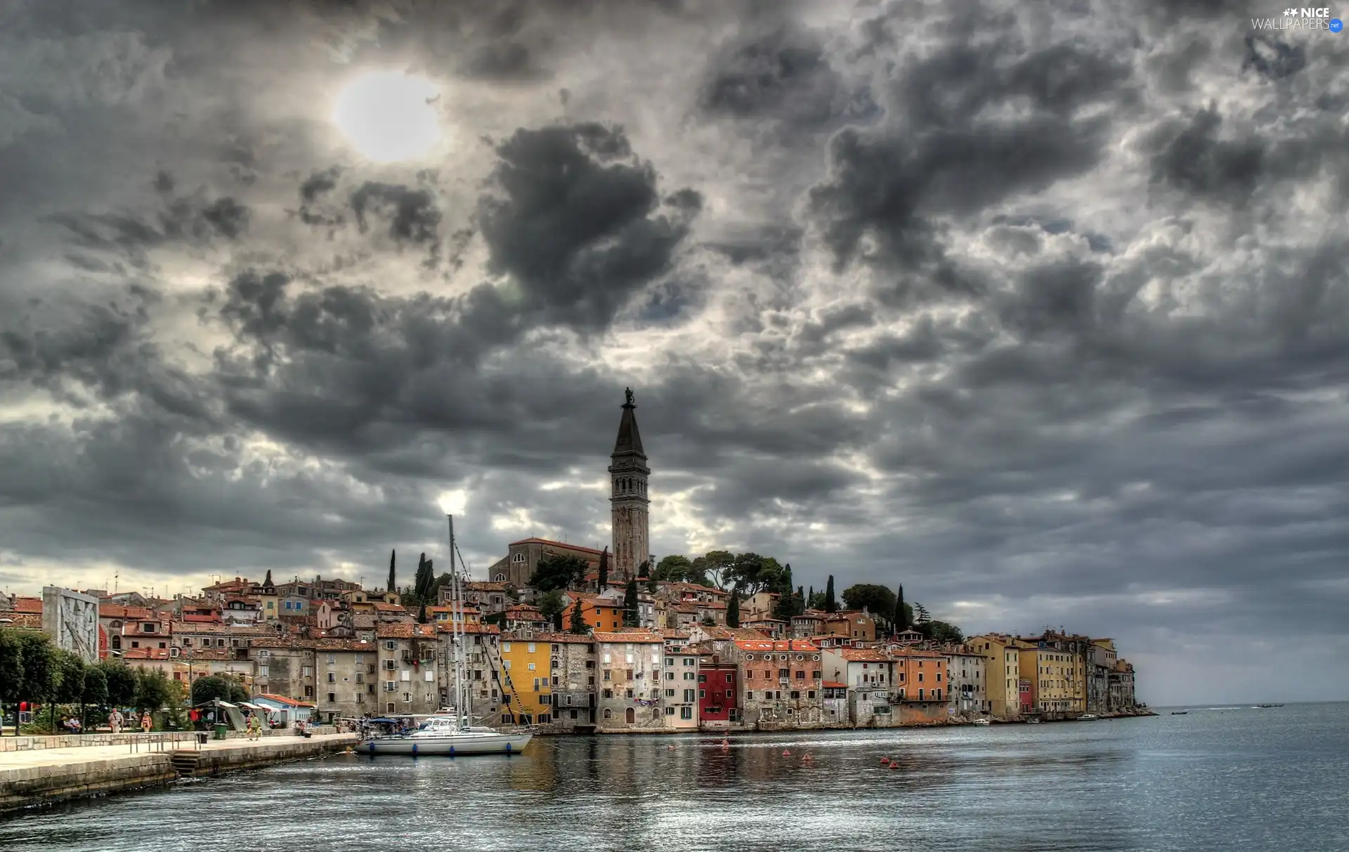 Coartia, Rovinj