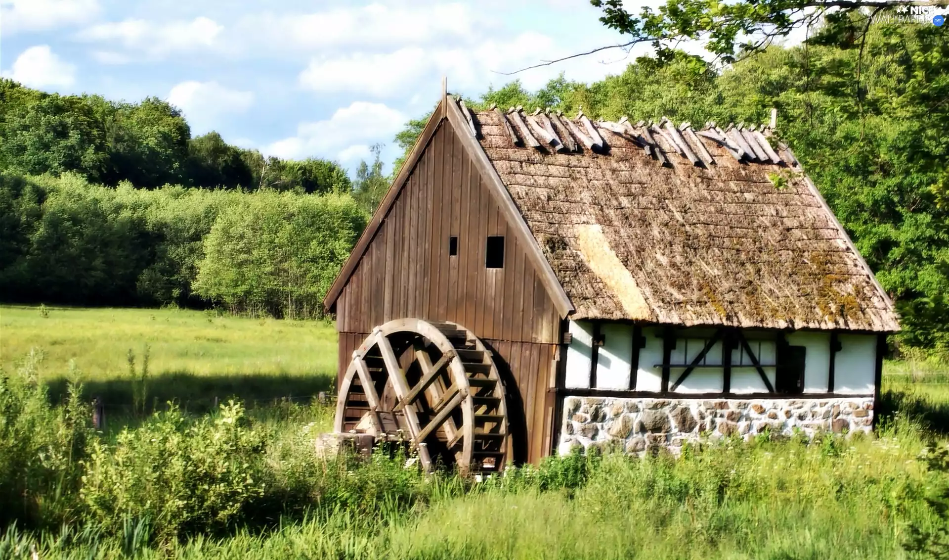 water, ruin, Meadow, Windmill, forest
