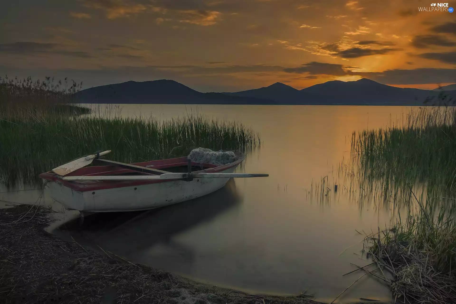 Boat, rushes, Great Sunsets, lake