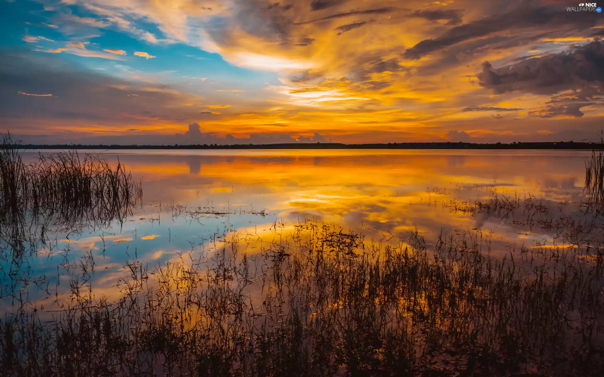 clouds, reflection, lake, rushes, Great Sunsets