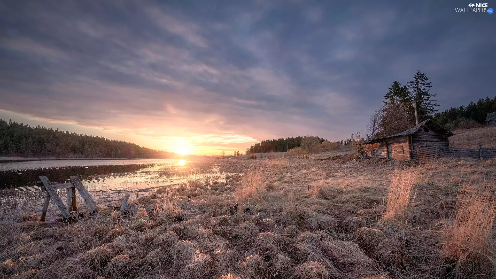 Field, wooden, Karelia, house, Lake Ladoga, grass, Russia