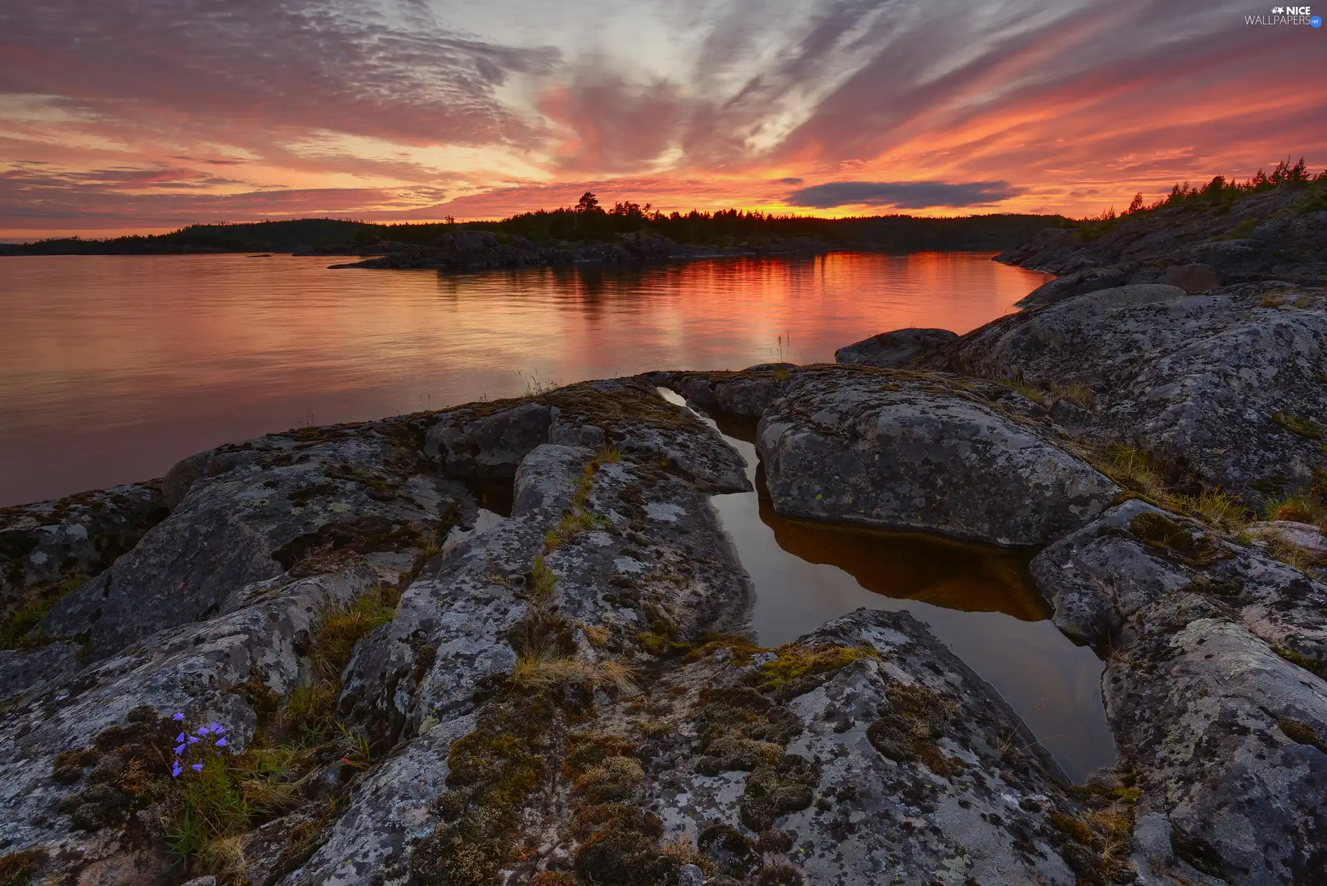 rocks, Lake Ladoga, viewes, Great Sunsets, trees, Russia