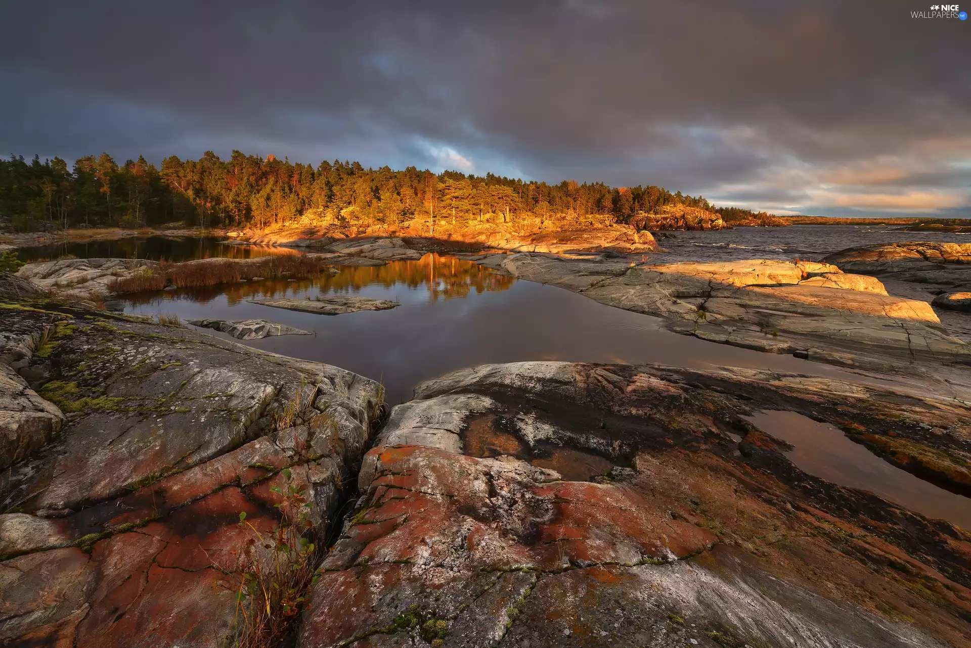 trees, Lake Ladoga, Karelia, rocks, autumn, viewes, Russia