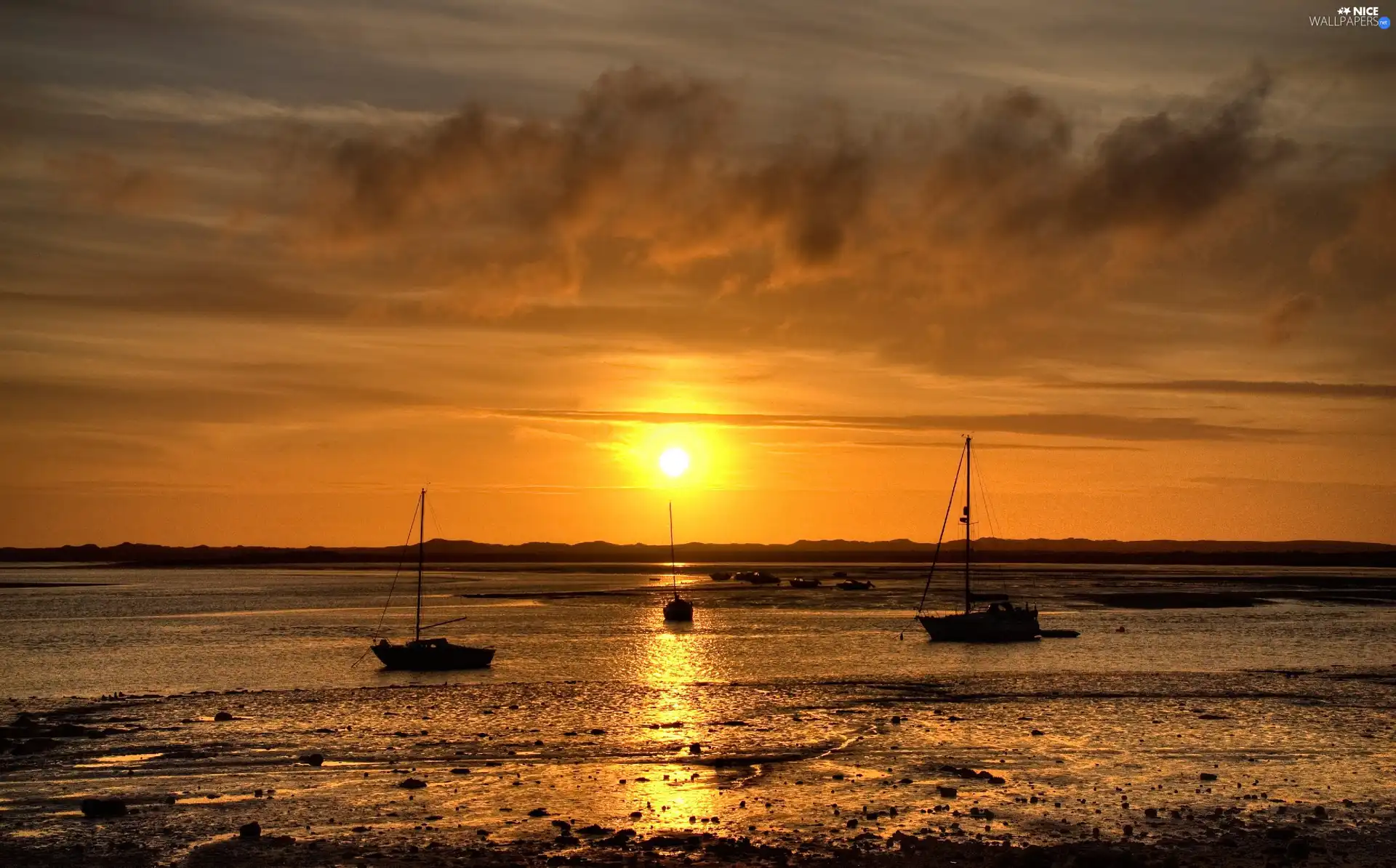 Sailboats, lake, Great Sunsets