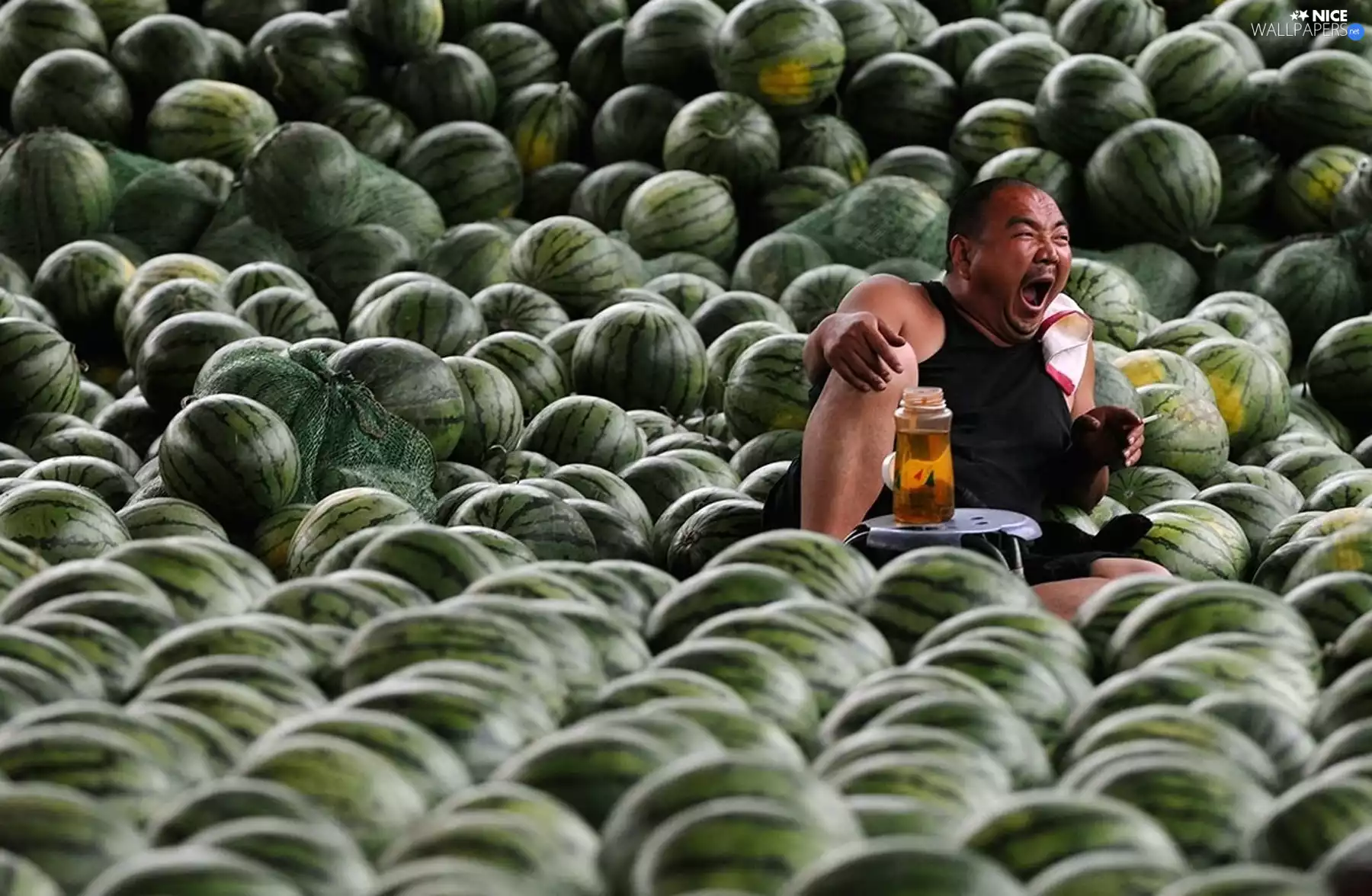 salesman, watermelons, market