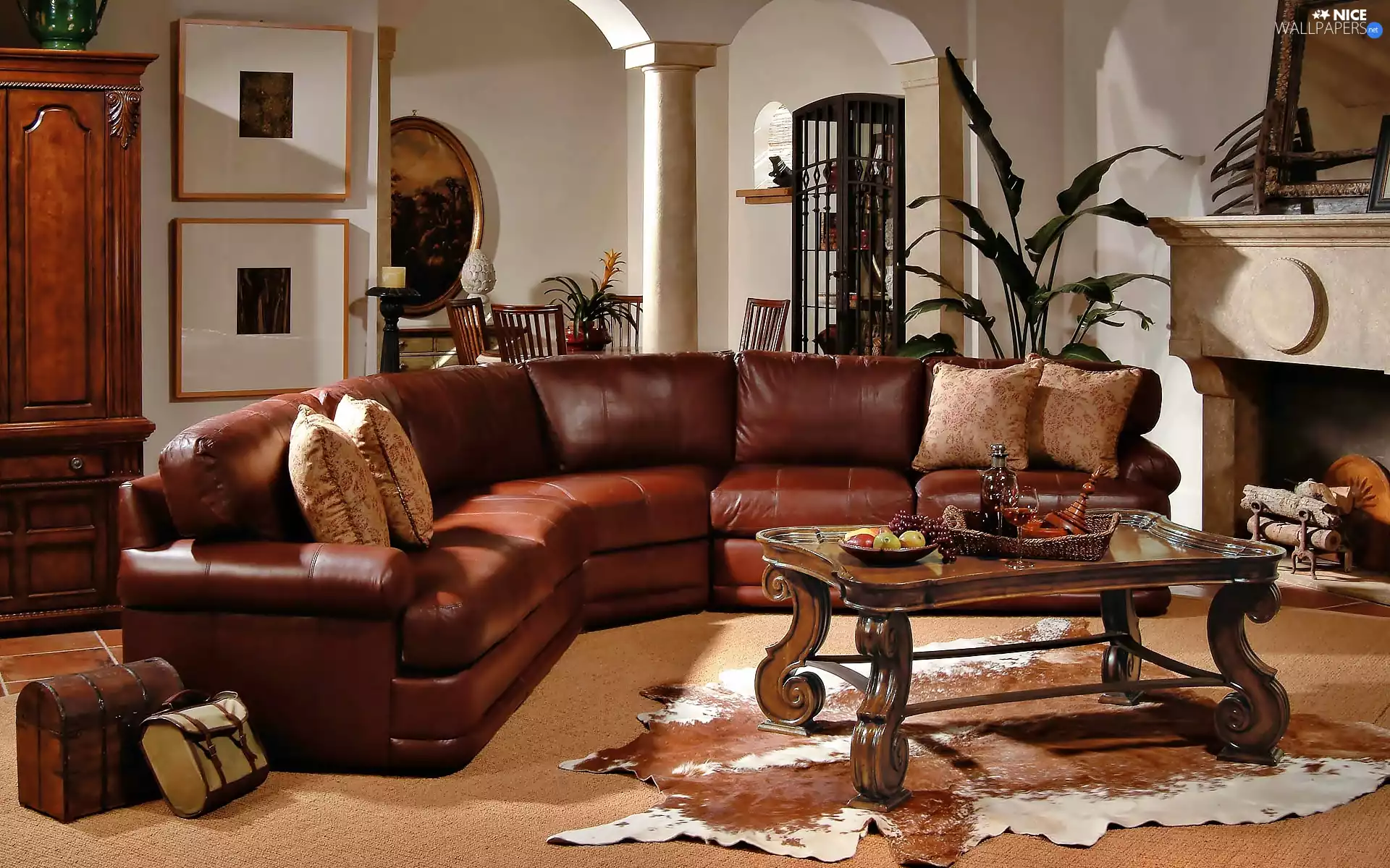 burner chimney, stylish, saloon