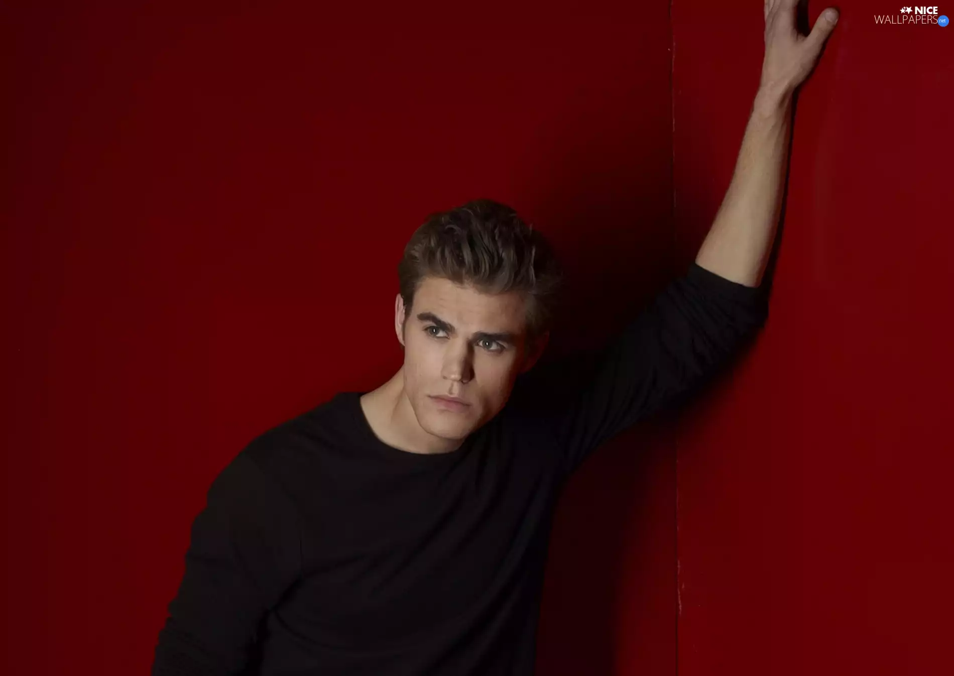 Paul Wesley, Stefan Salvatore