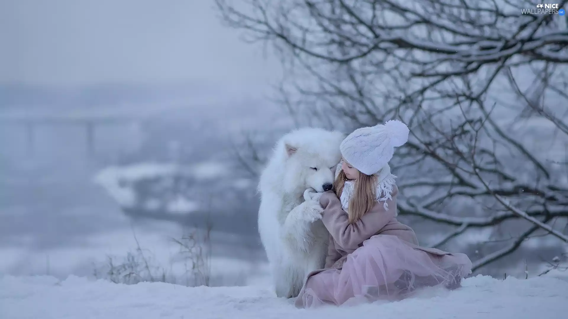 winter, girl, dog, Samojed, snow, Hat