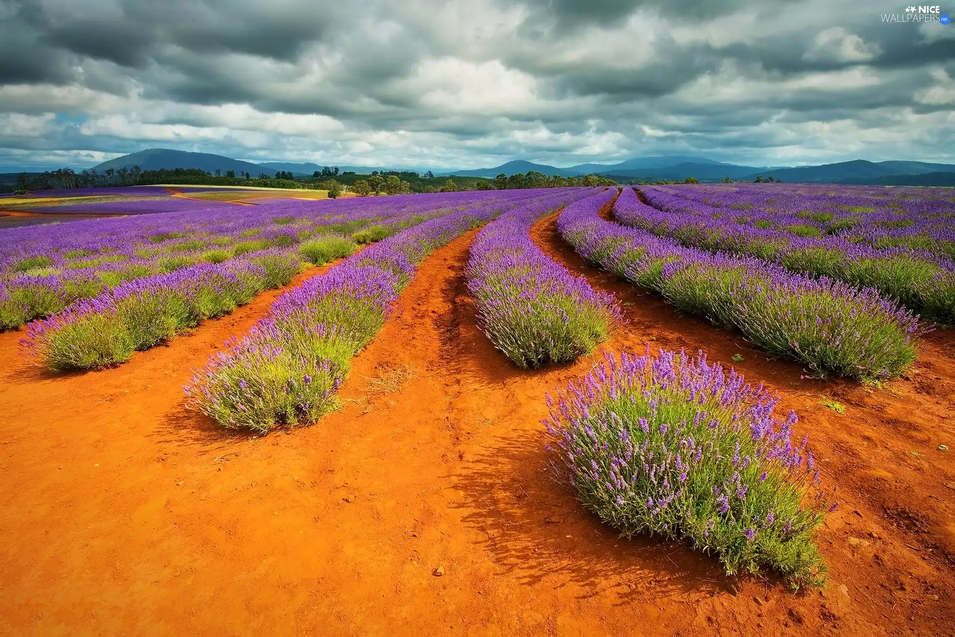 lavender, clouds, Sky, Sand