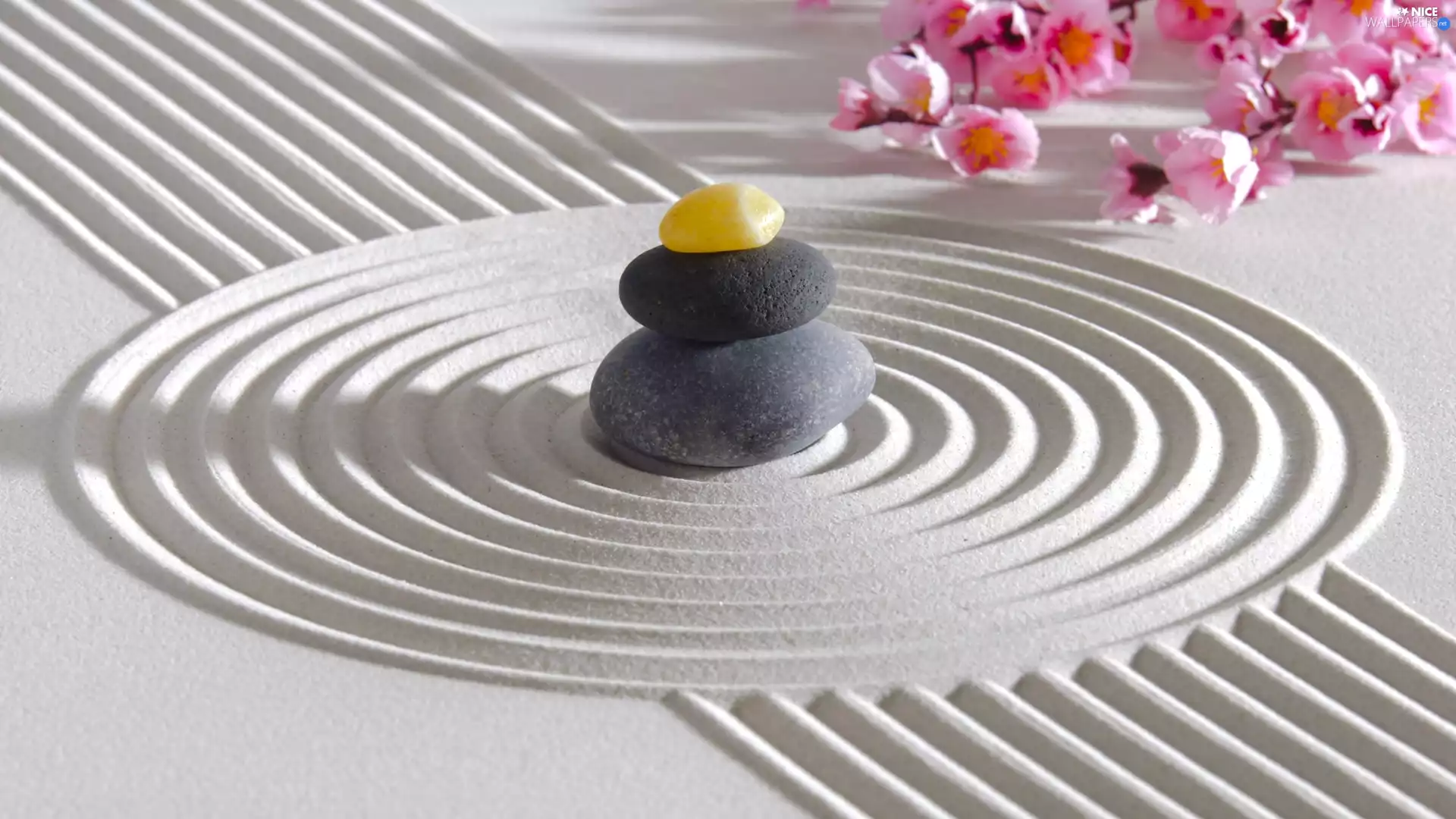 Stones, model, Flowers, Sand