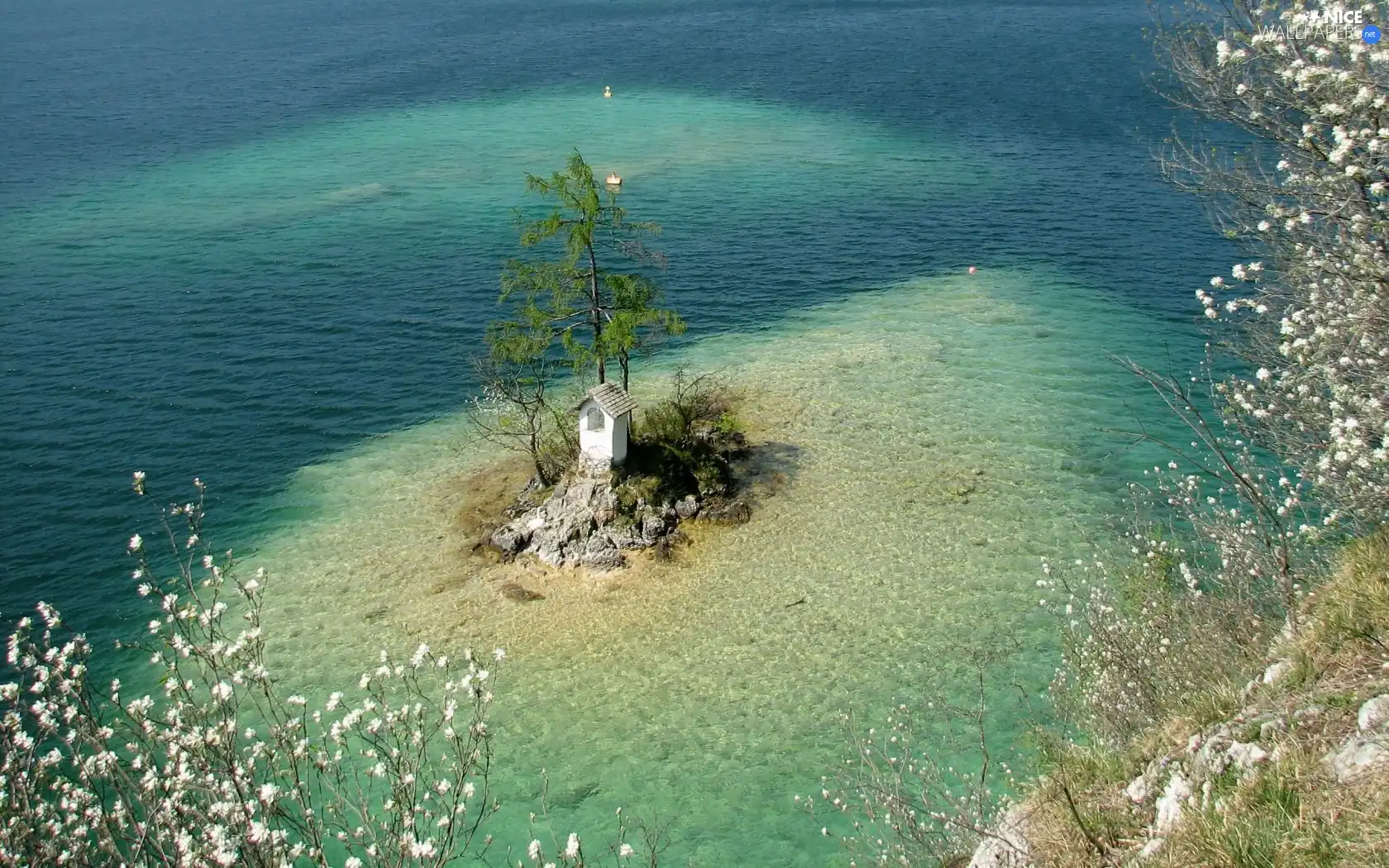 Islet, chapel, sapling, small