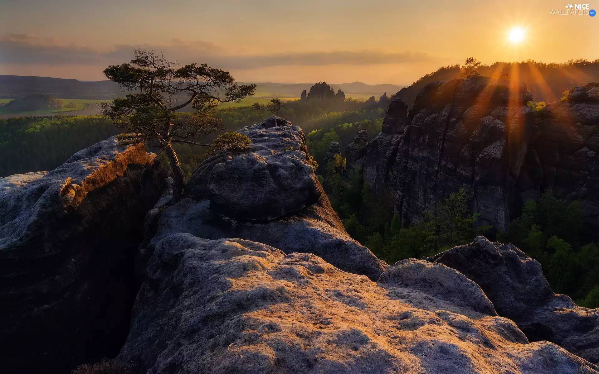 Děčínská vrchovina, rocks, Saxon Switzerland National Park, Germany, rays of the Sun, pine