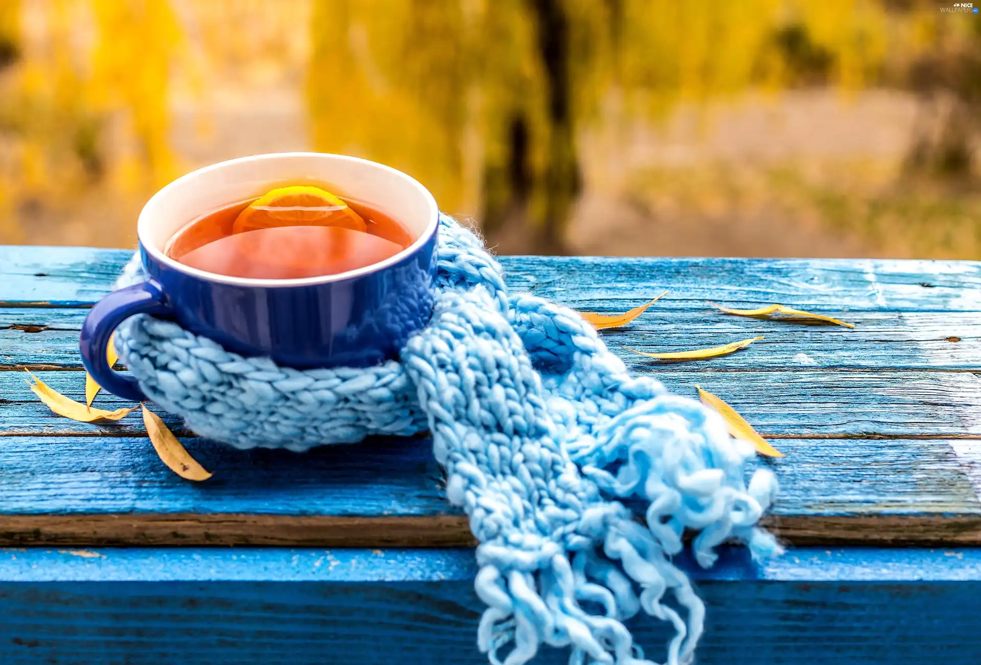 cup, Lemon, Scarf, tea