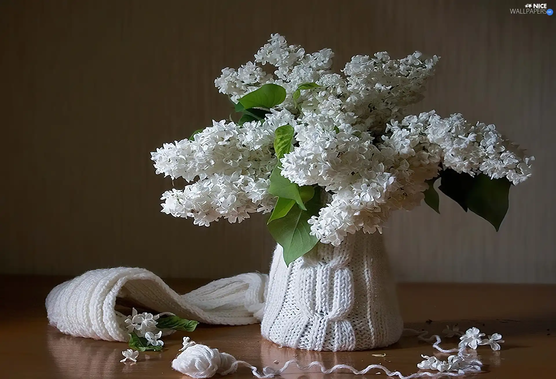 White, Hat, Scarf, without