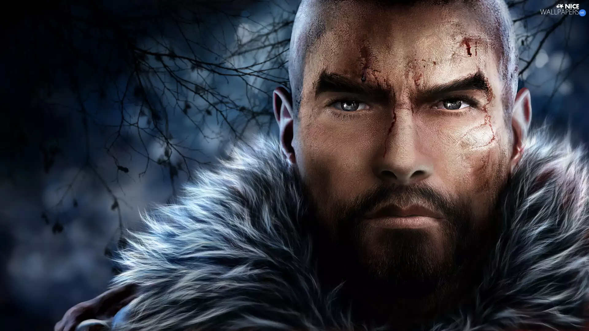 scars, beard, graphics, moustache, collar, face, a man, fur