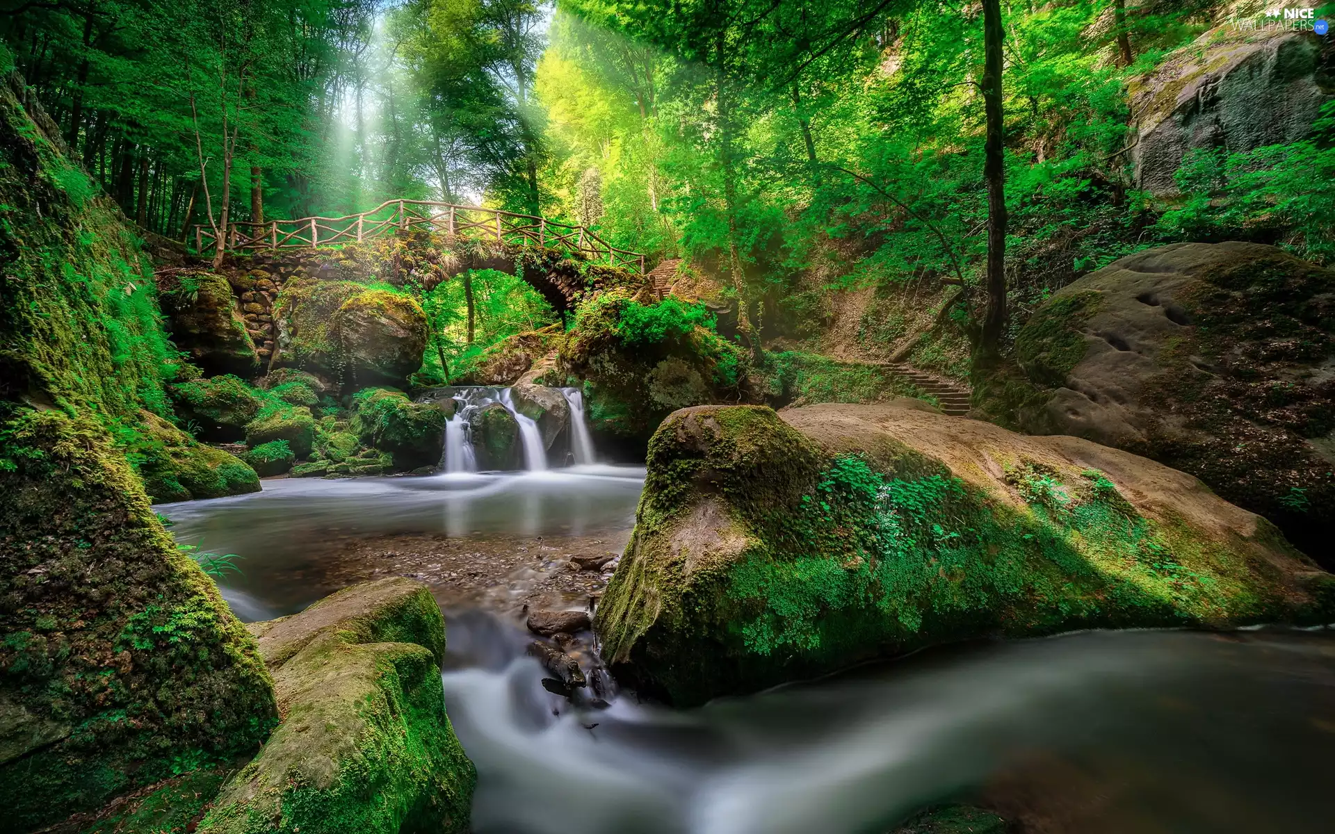 Black Ernz River, Schiessentümpel Waterfall, rays of the Sun, bridges, Luxembourg, rocks, forest