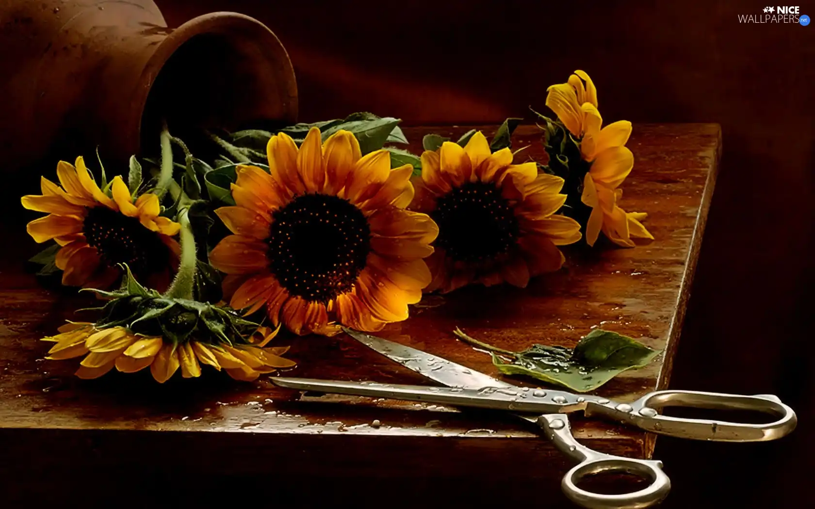 scissors, bouquet, sunflowers