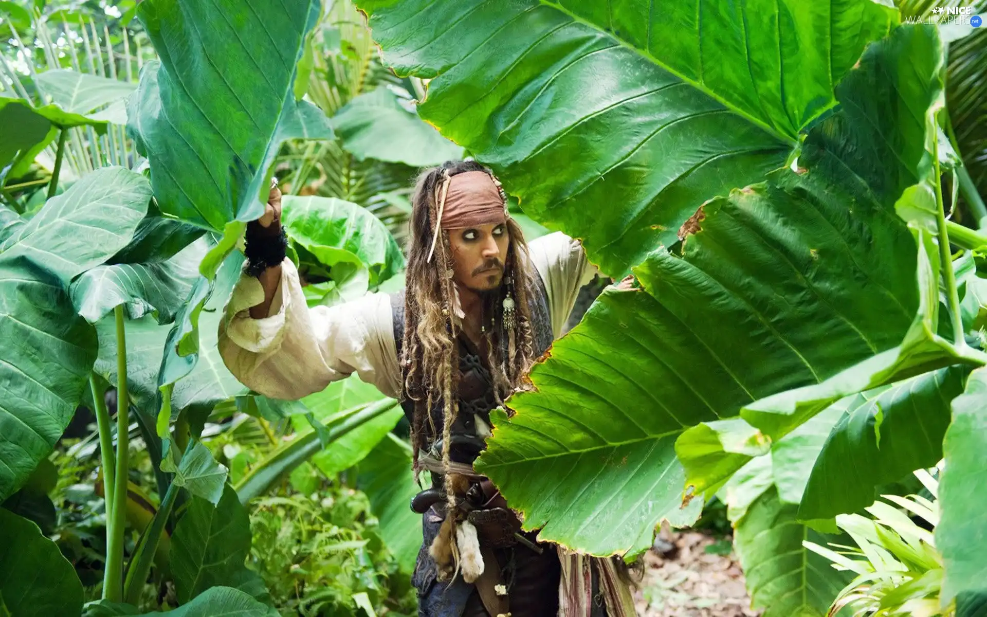 Jack Sparrow, Pirate, scrub