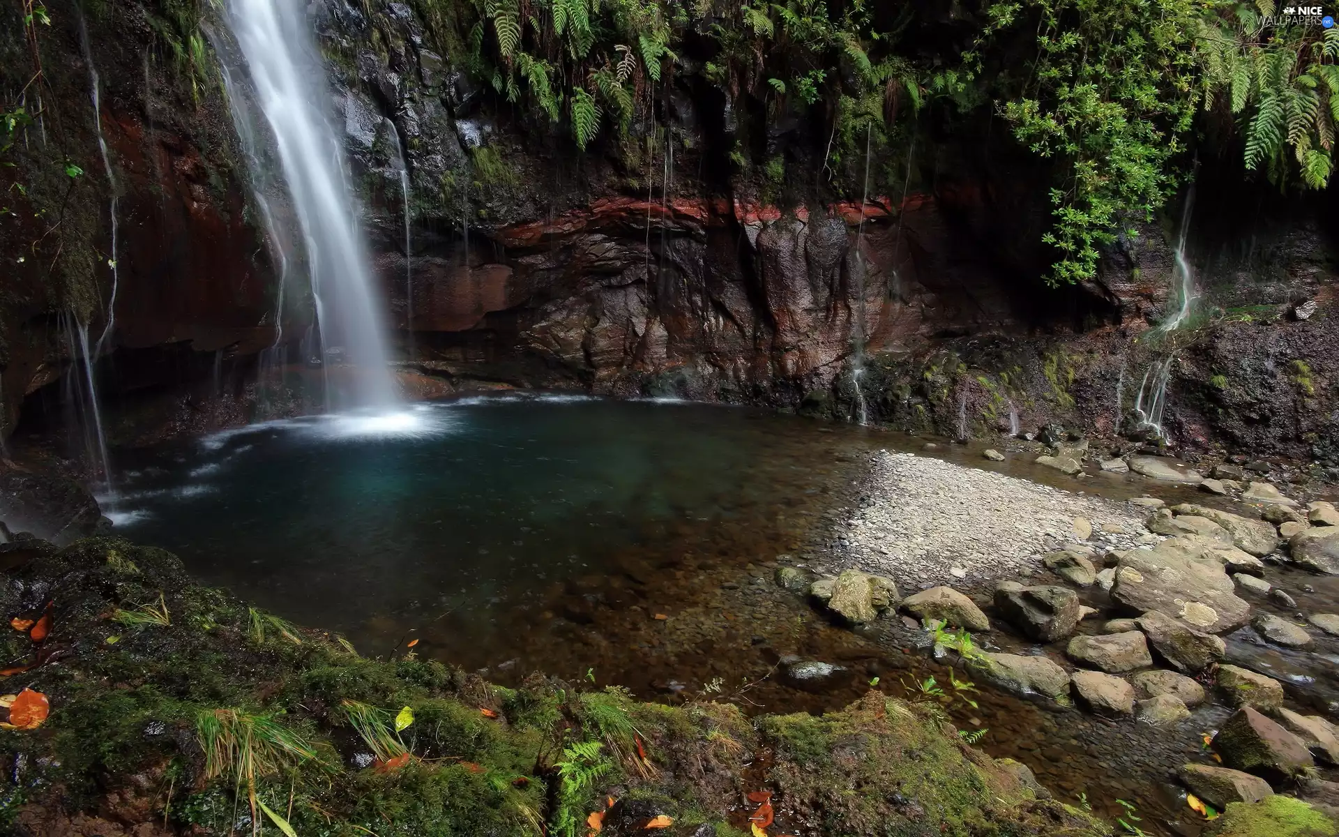 scrub, waterfall, Stones