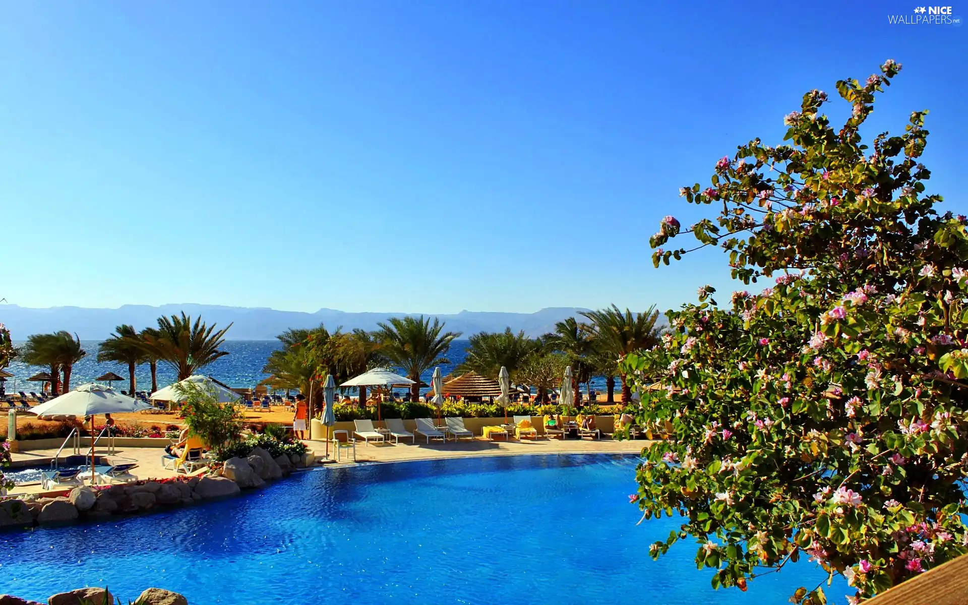 Hotel hall, spa, sea, Pool