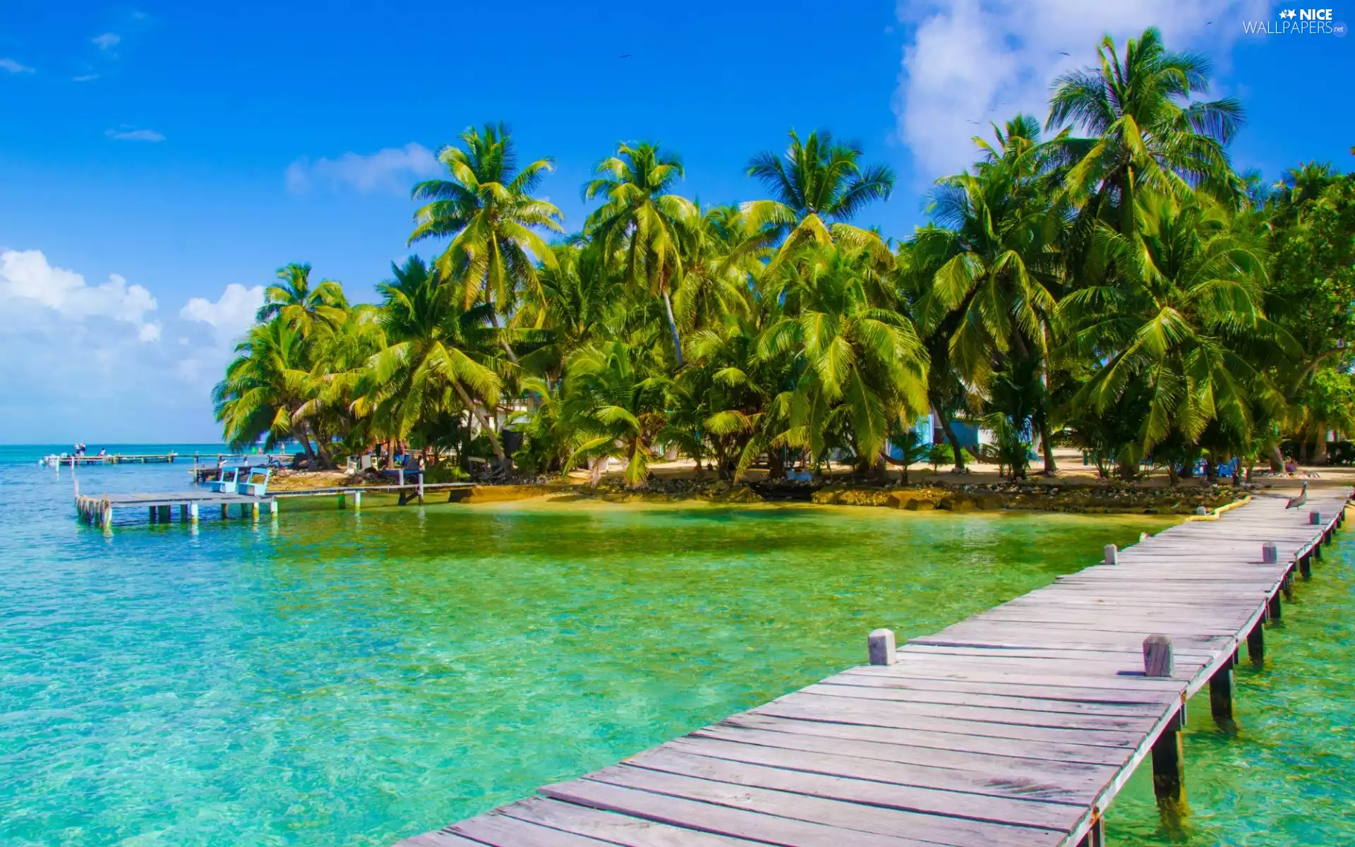 Platforms, sea, Houses, Palms, Island