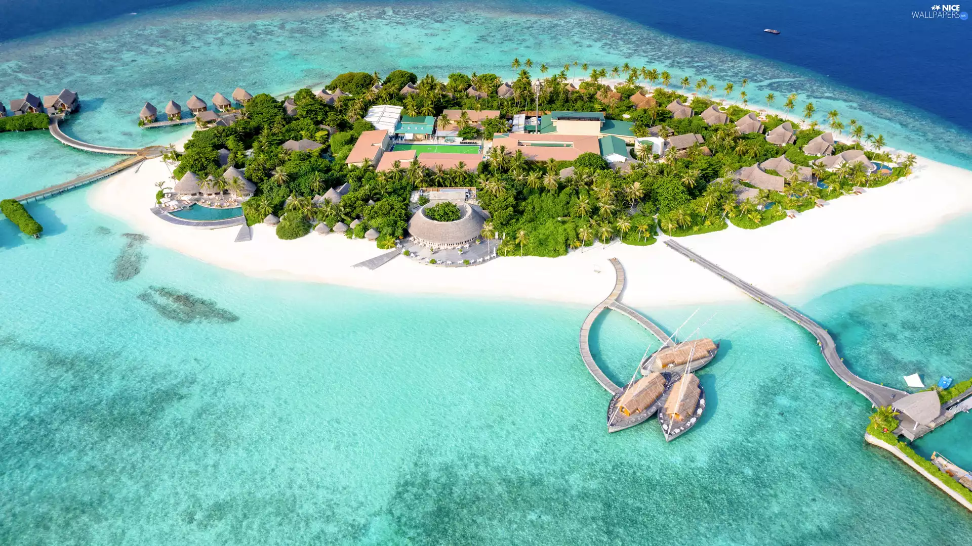 Beaches, Aerial View, sea, Palms, Island