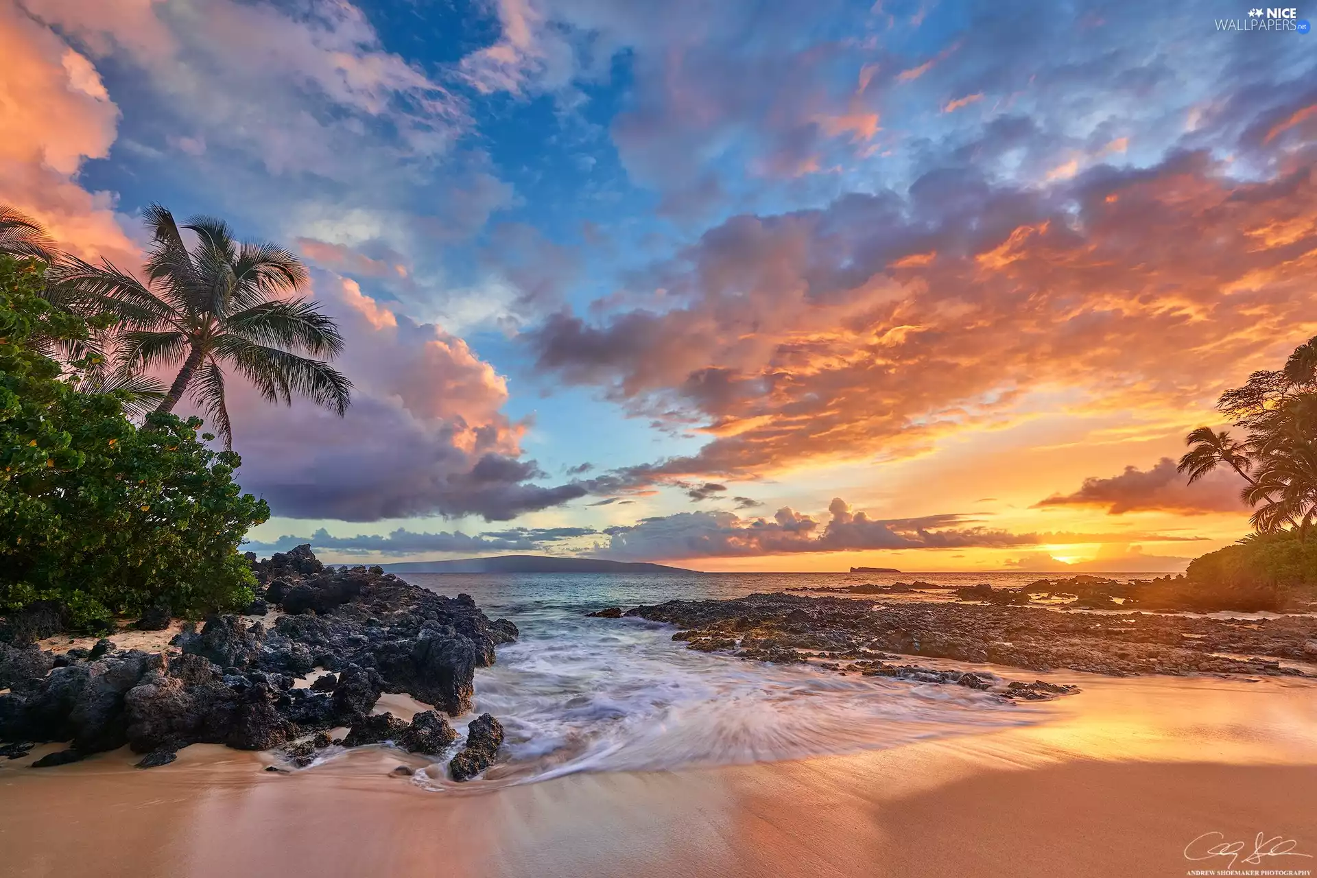 sea, Aloha State Hawaje, Palms, Beaches, Great Sunsets, Maui Island