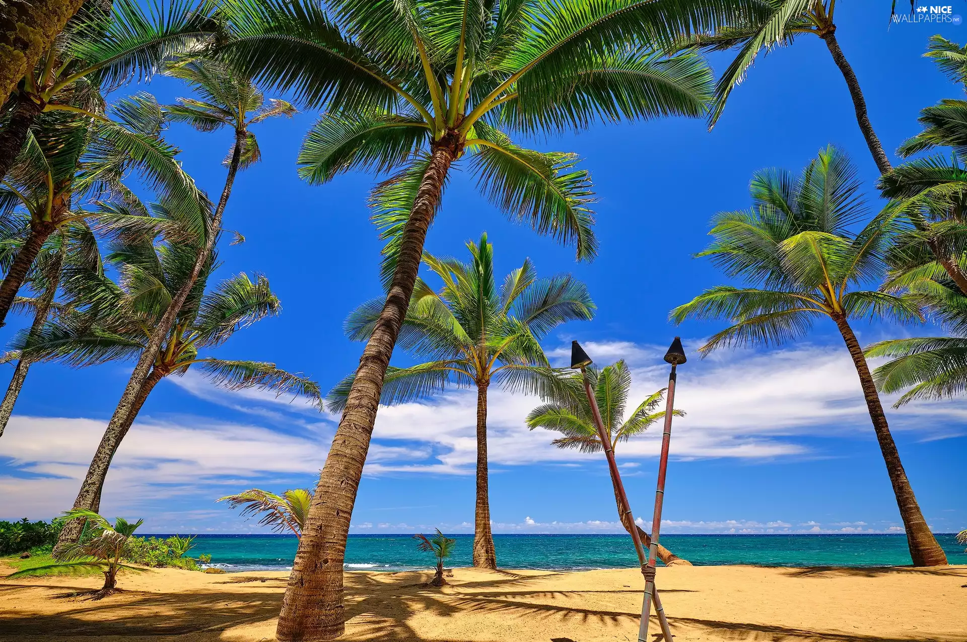 Palms, Beaches, clouds, sea