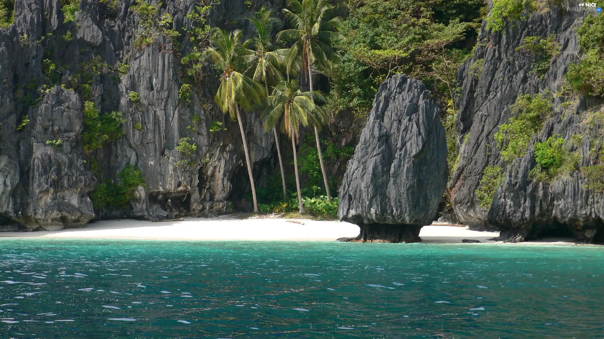 sea, rocks, Palms