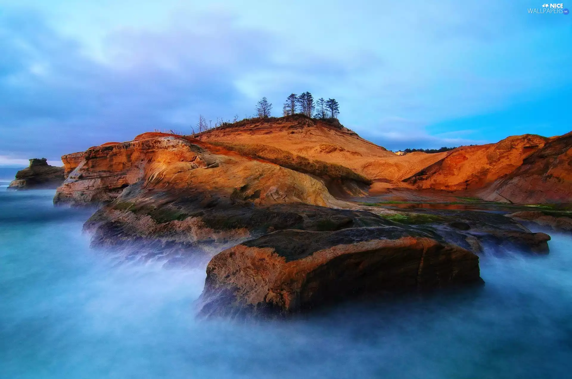 rocks, trees, viewes, sea