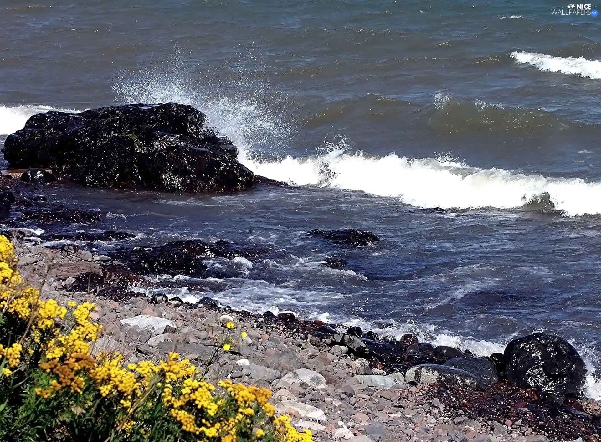 sea, Beaches, Stones